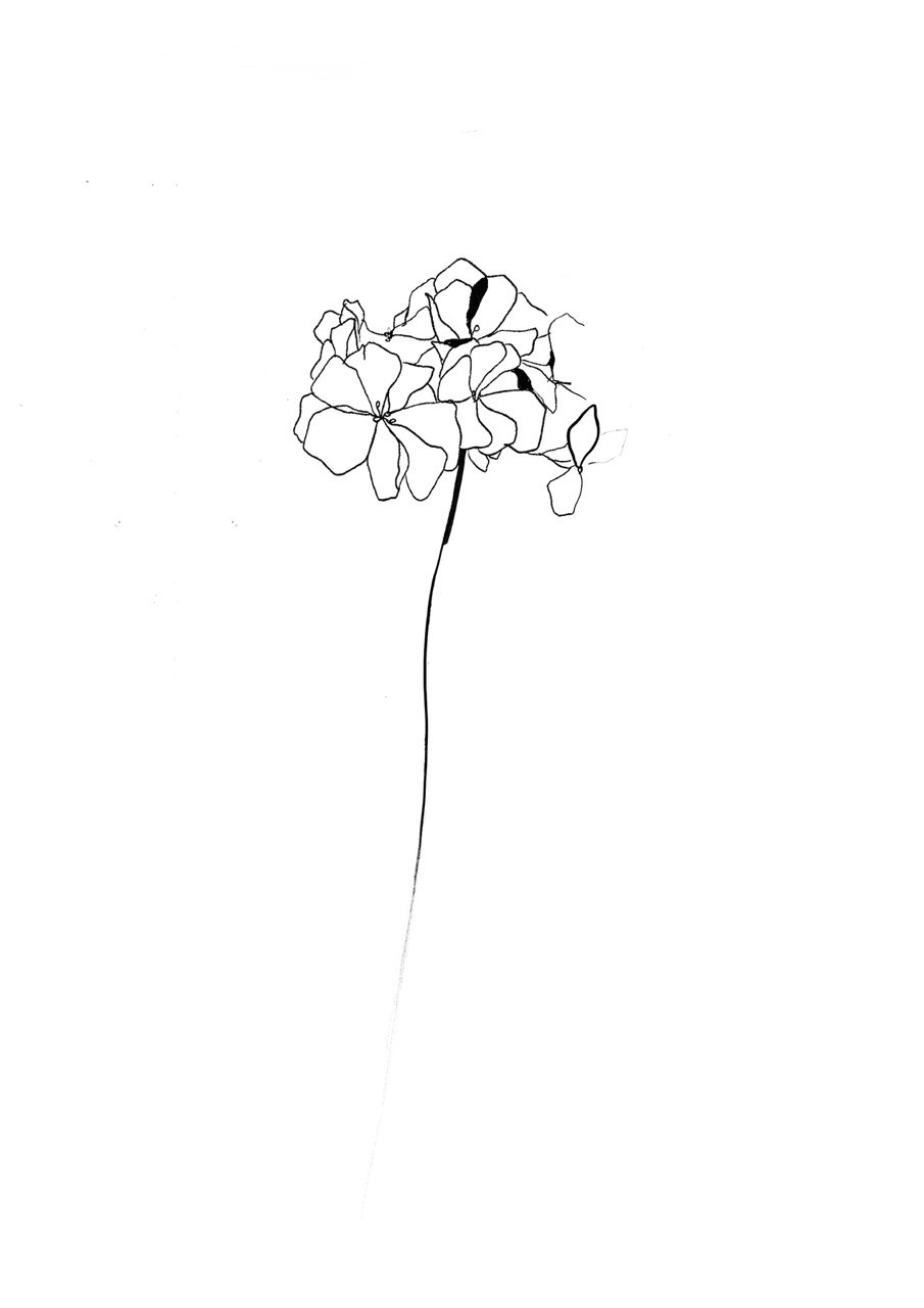 Minimalist black-and-white sketch of a flower on a long, thin stem with multiple petals.