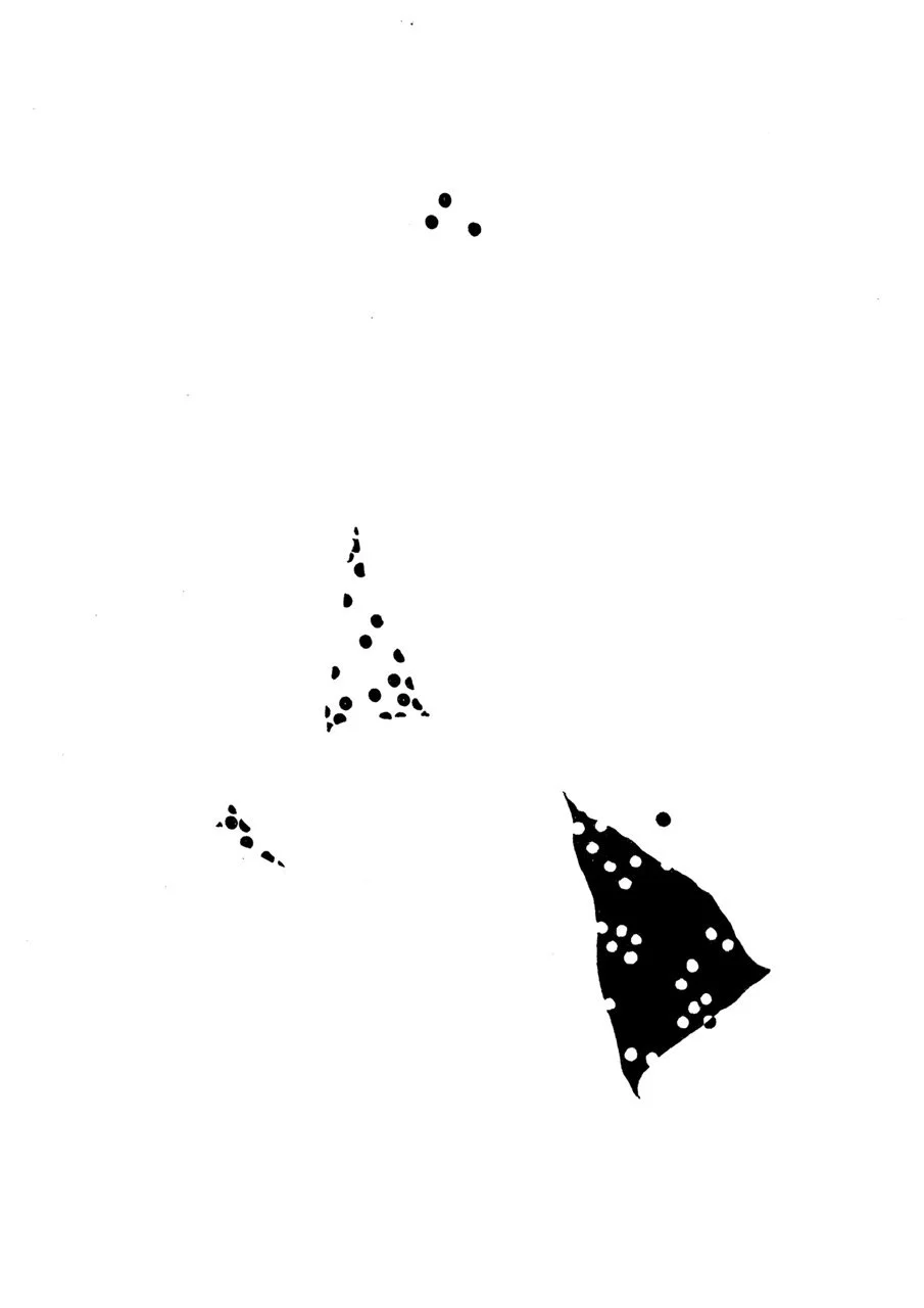 Abstract black and white image with scattered dots and shapes.