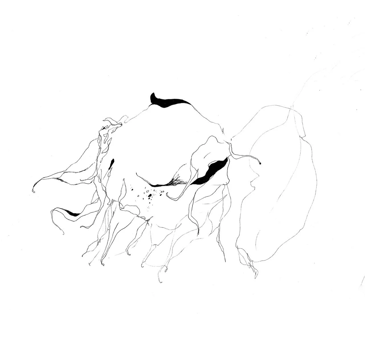 A minimalist black and white line drawing of sunflower.