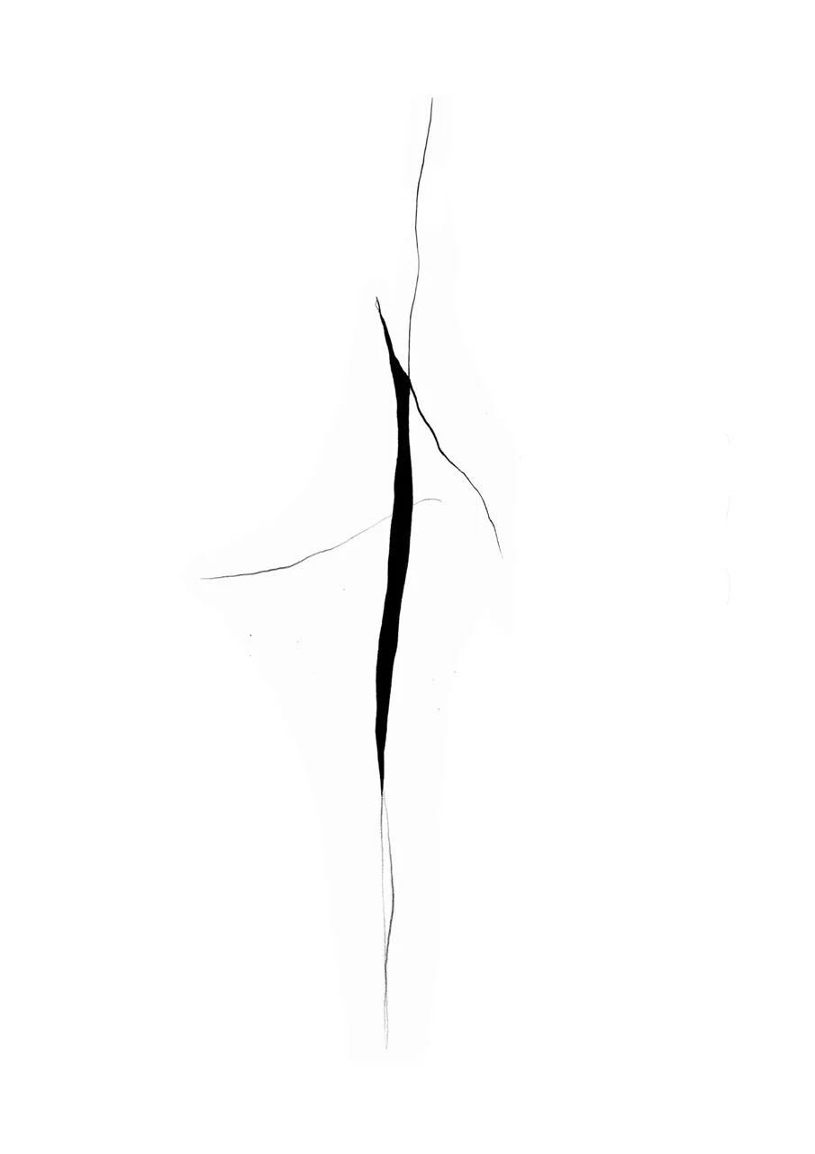 A black vertical line with jagged, thin, irregular gray lines extending from it on a white background.