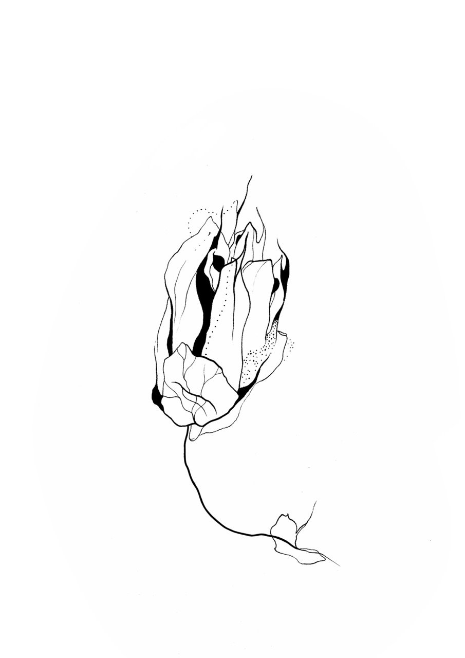 Minimalist black and white line drawing of a passion fruit bud.
