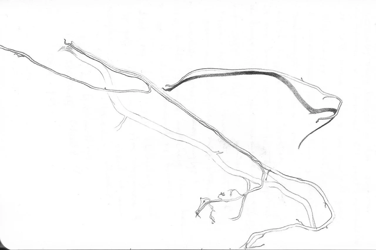 sketch_au_25 1 Large.jpeg