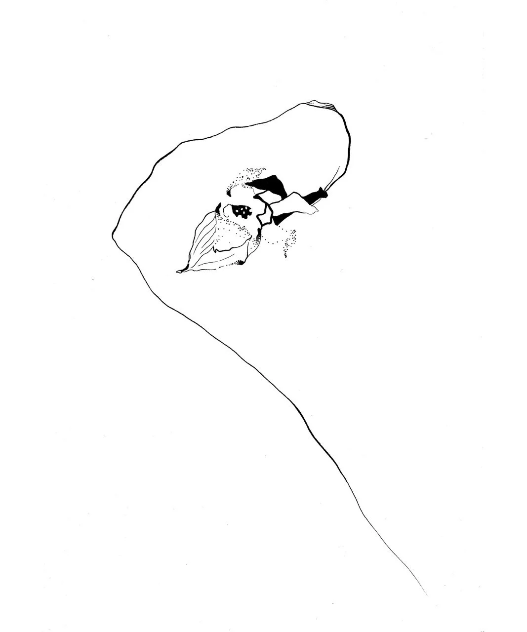 Line drawing of a butterfly on a leaf with a line extending from the leaf to the bottom of the image.