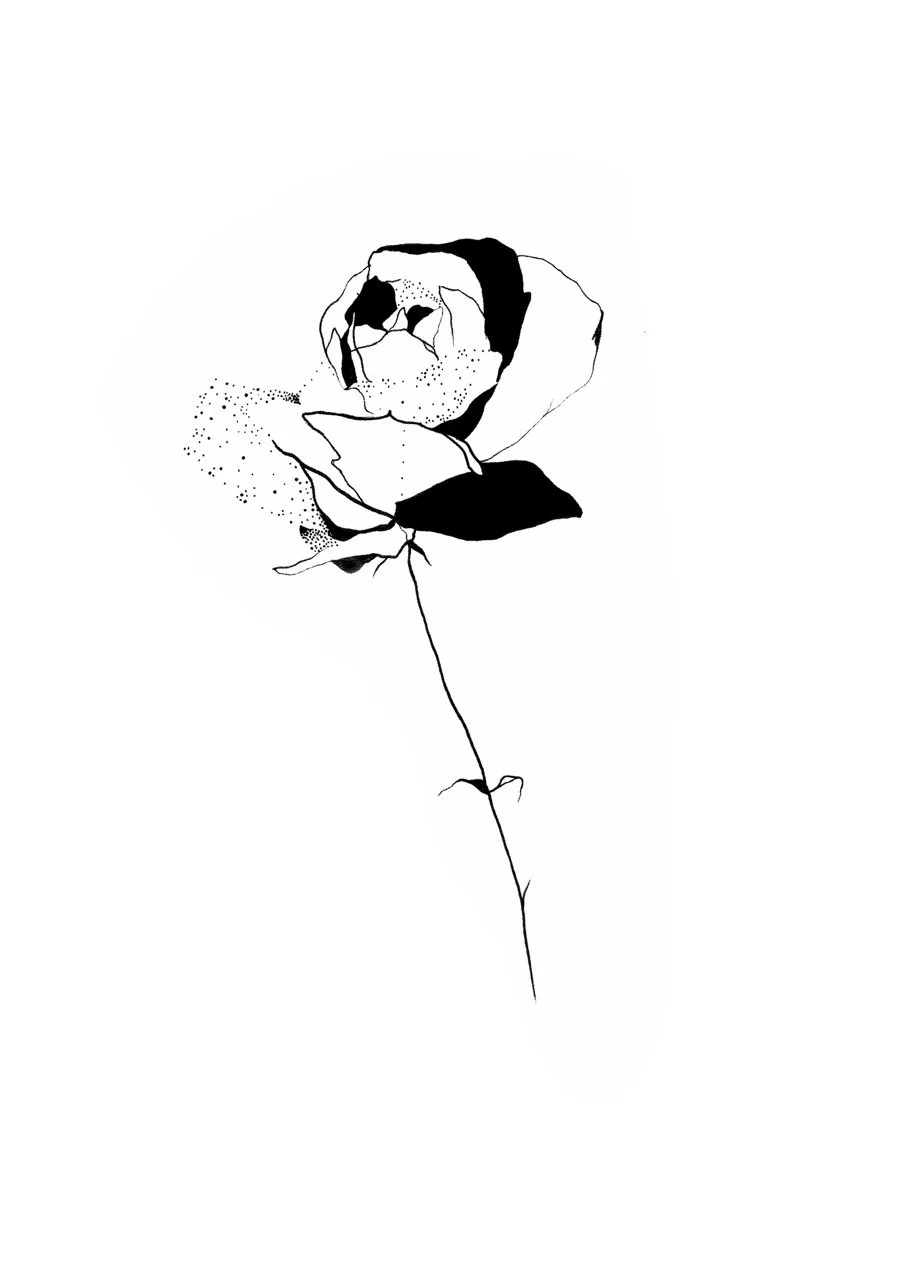 A black and white line drawing of a rose with one fully bloomed flower and a few leaves on a long stem.