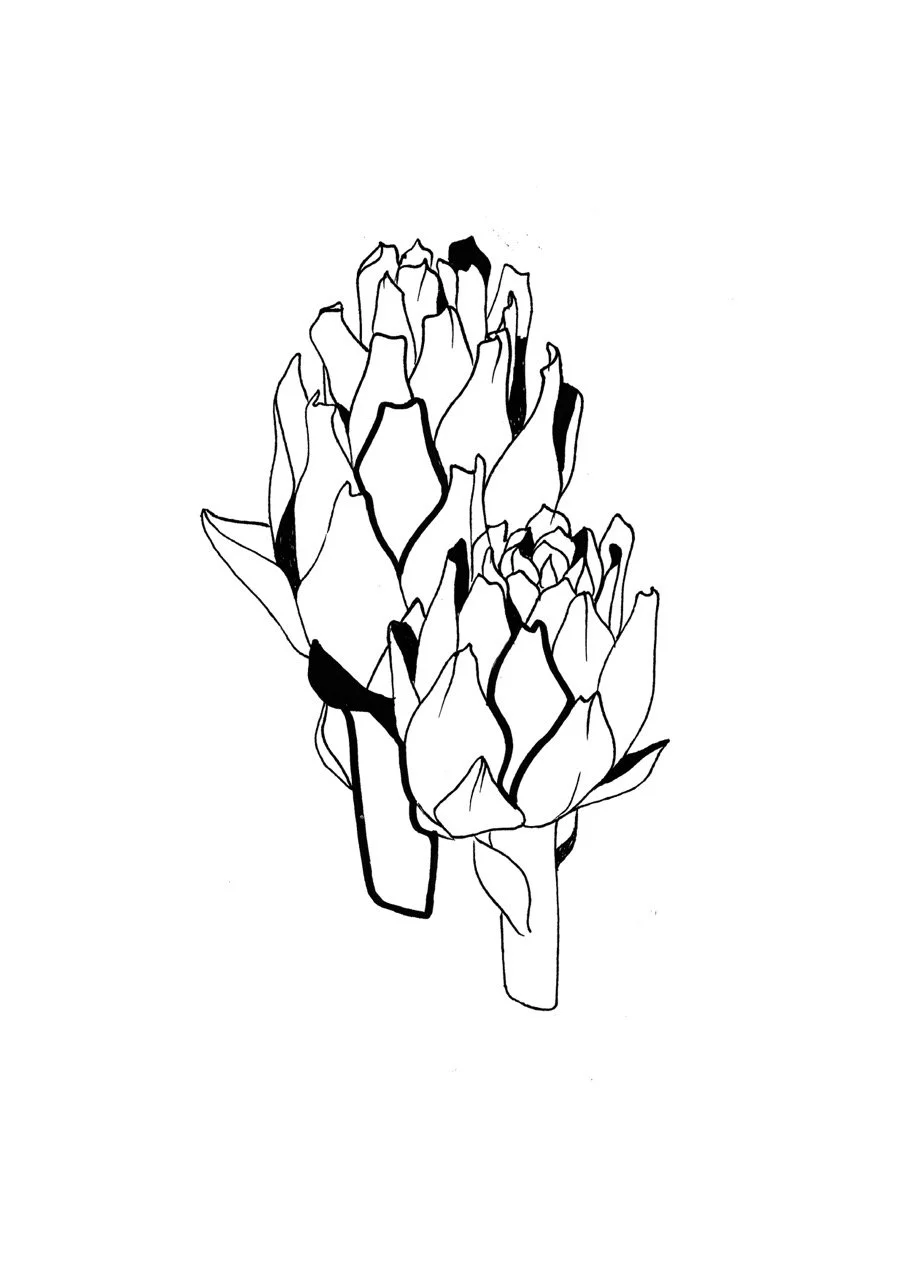 Black and white line art of a bunch of artichokes.