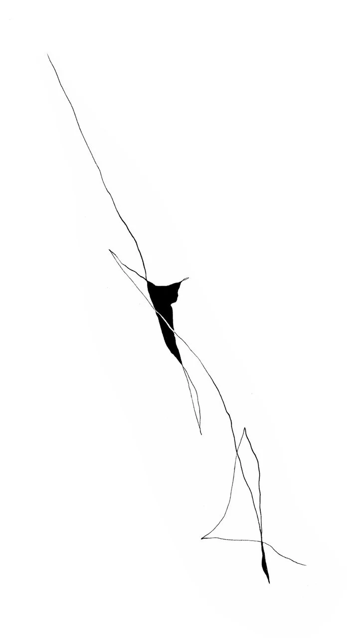 Abstract black and white line drawing with a central black shape, surrounded by thin, elongated lines.