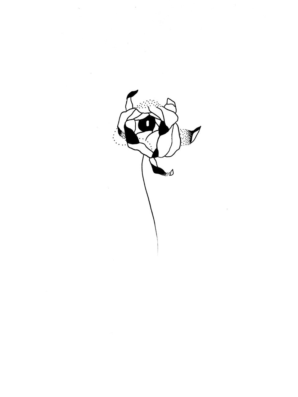 Minimalist black and white drawing of a single ranunculus flower with a long stem.