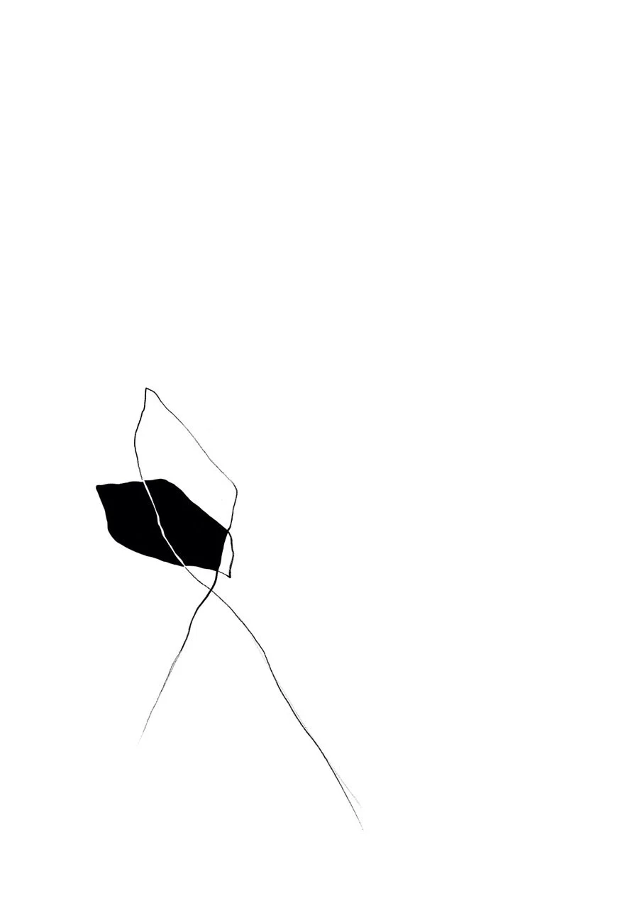 Minimalist black and white abstract line drawing with a shaded black shape and light curved lines.