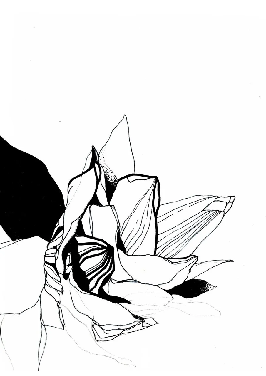 Black and white illustration of abstract flower with detailed petals and leaves.