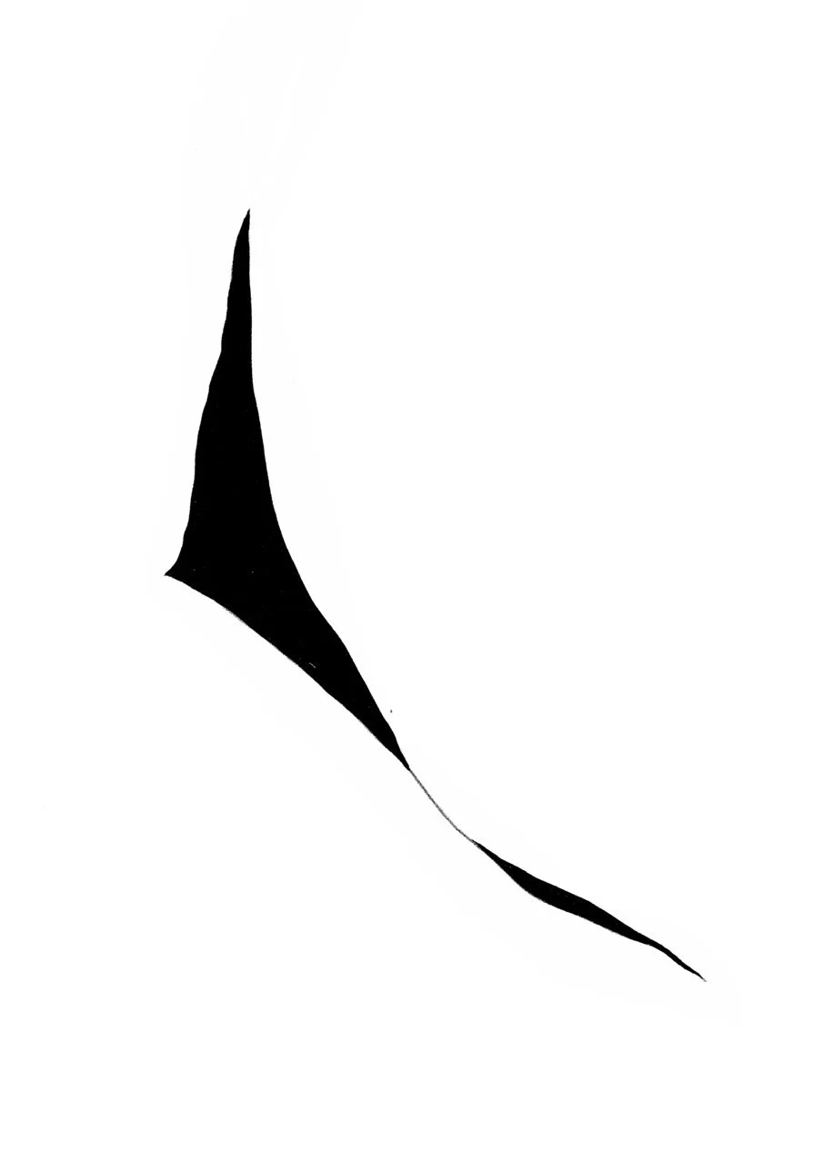 Abstract black and white ink drawing with curved shapes and dynamic lines.