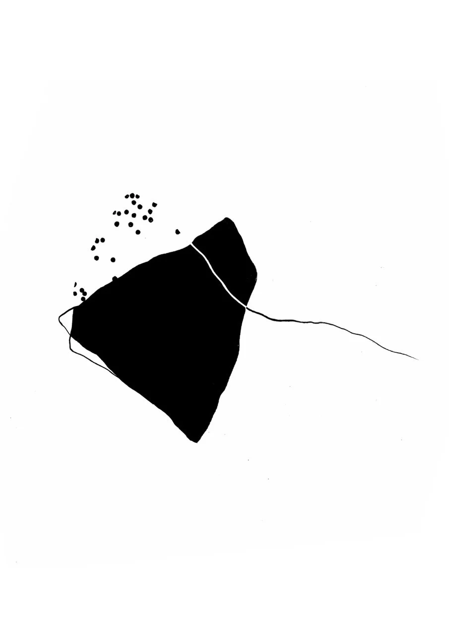Minimalist black and white illustration of a camera with a spilled pile of black dots nearby, on a white background.
