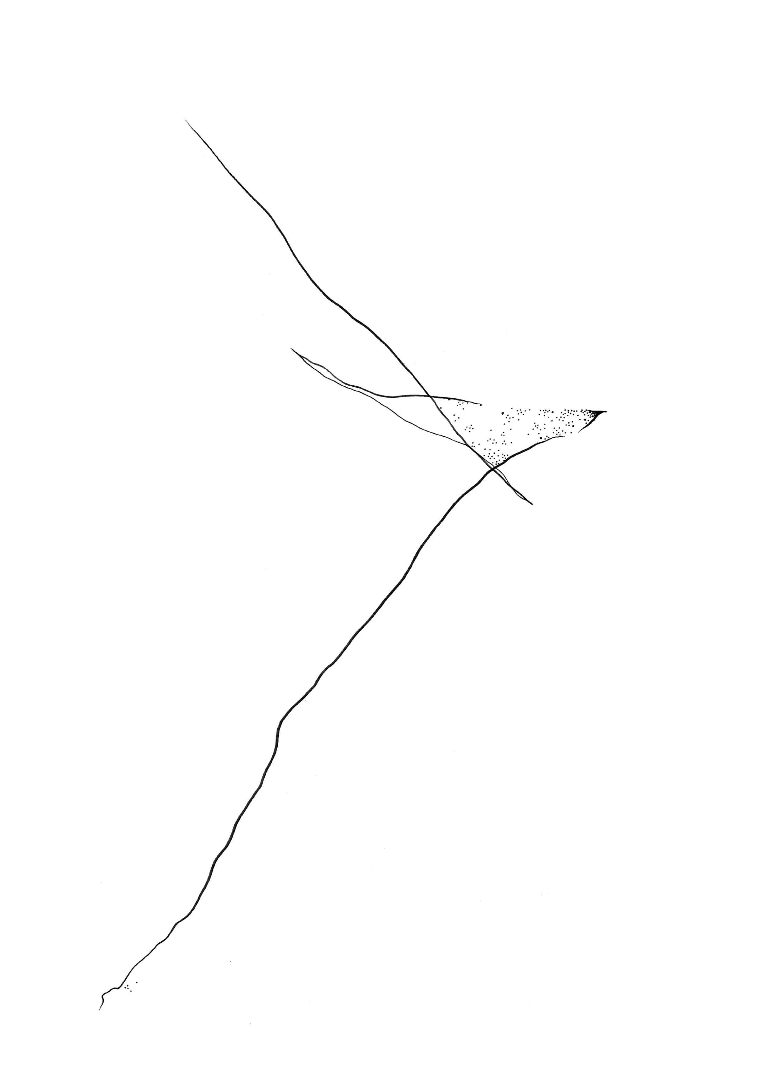 au20FT01