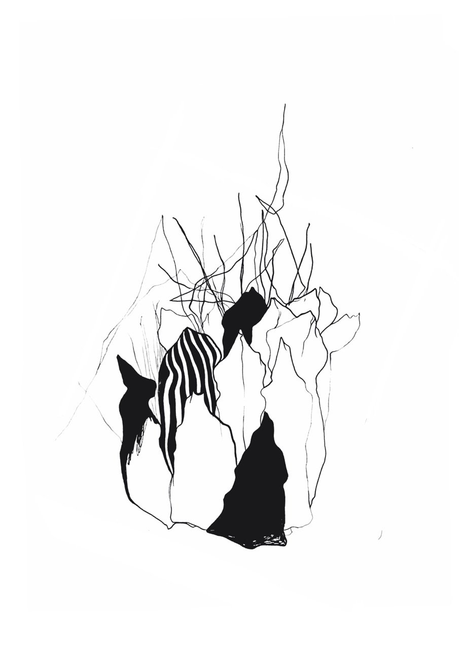 Black and white abstract line drawing of a thistle flower and leaves with a striped pattern.