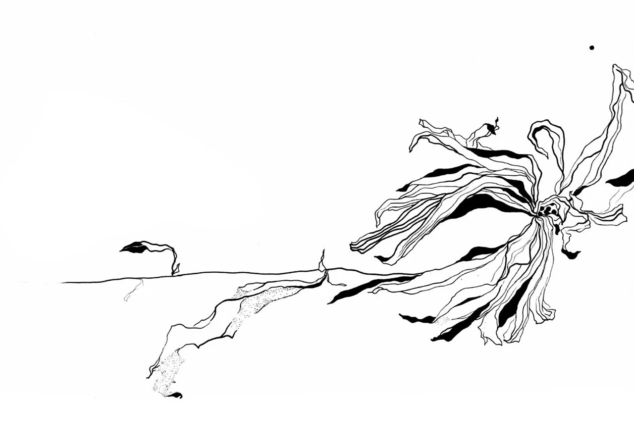 Black and white abstract illustration of a large flower with long, flowing petals on the right side and a small plant with a single leaf on the left side, connected by a thin horizontal line as a stem.