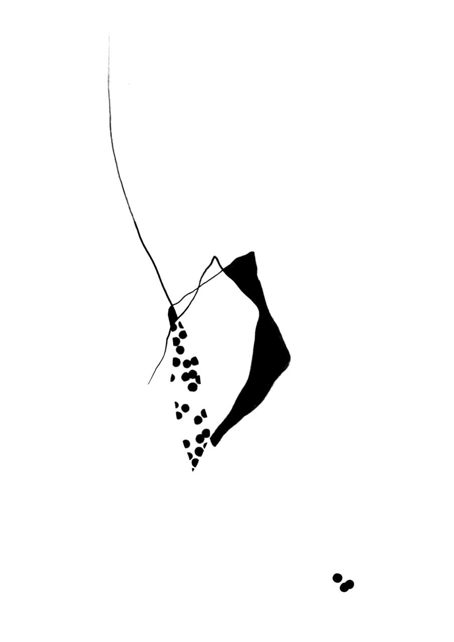 auDTS02