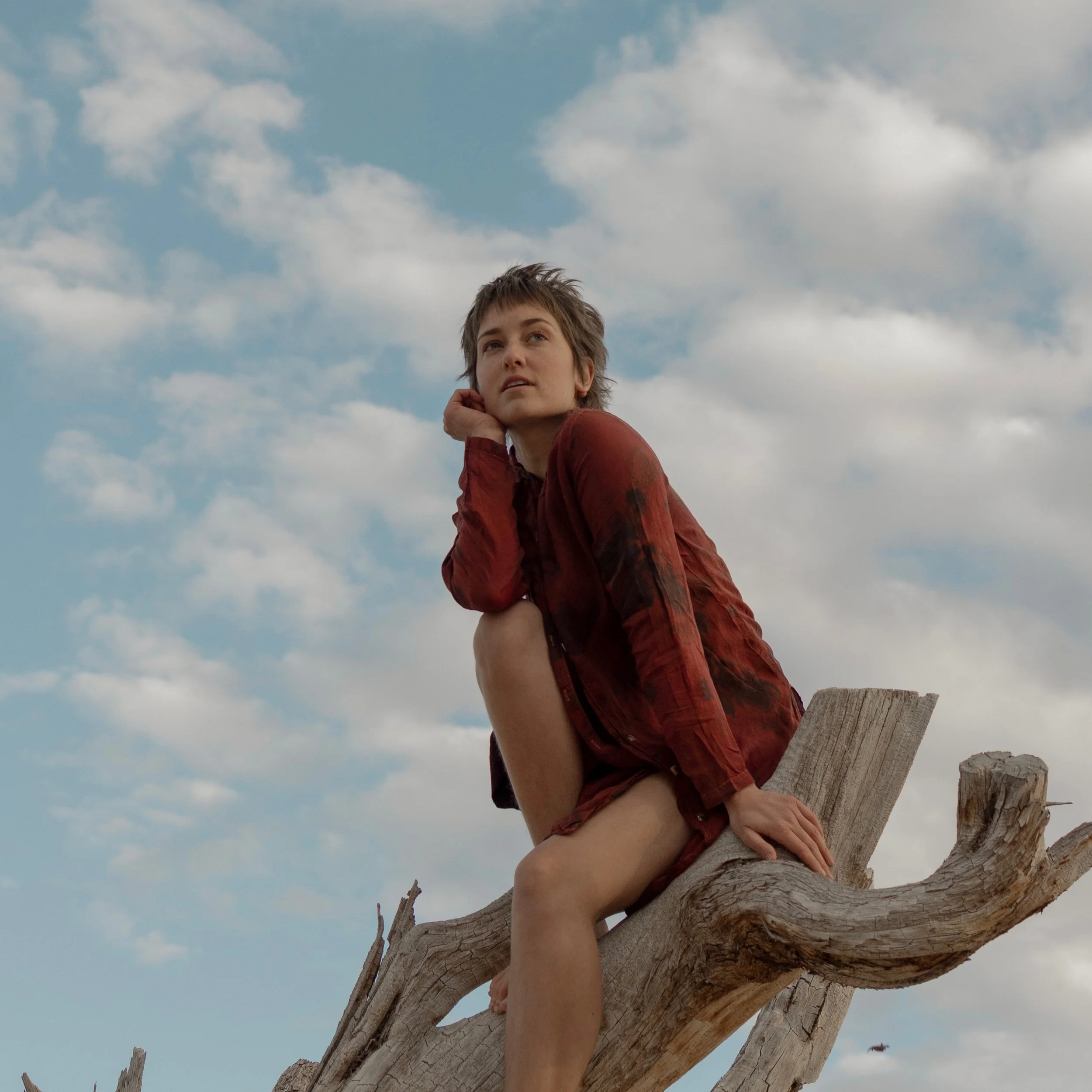 Dune Moss presented by The Triple Door 