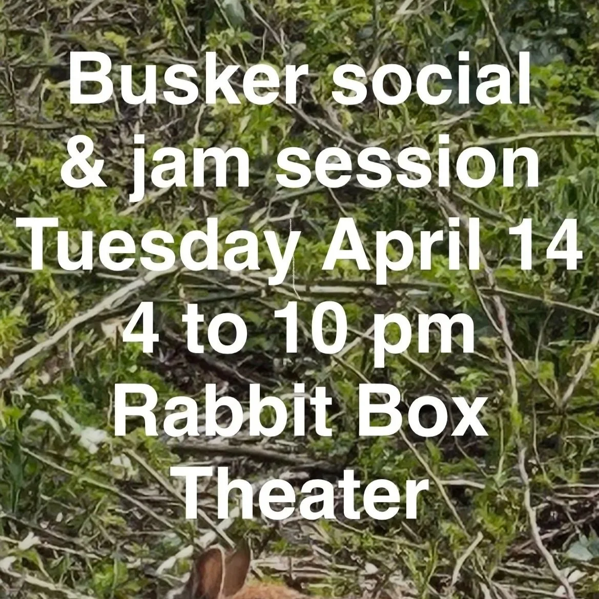 Buskers Social & Jam Session
