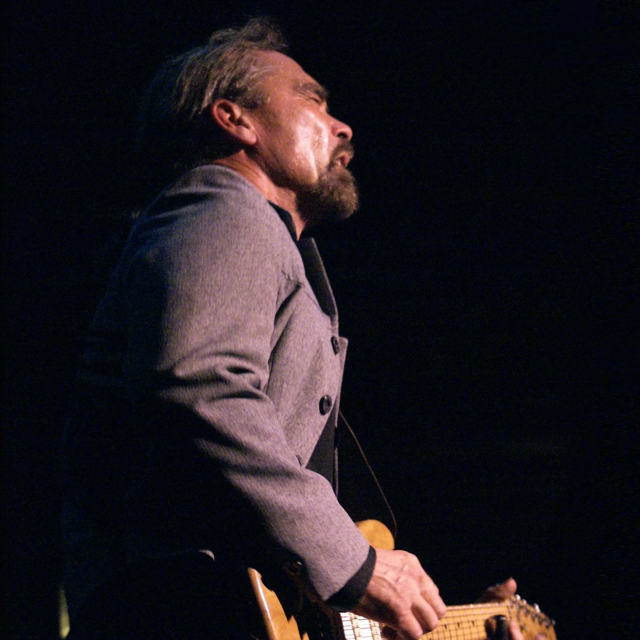 Nick Vigarino's Meantown Blues