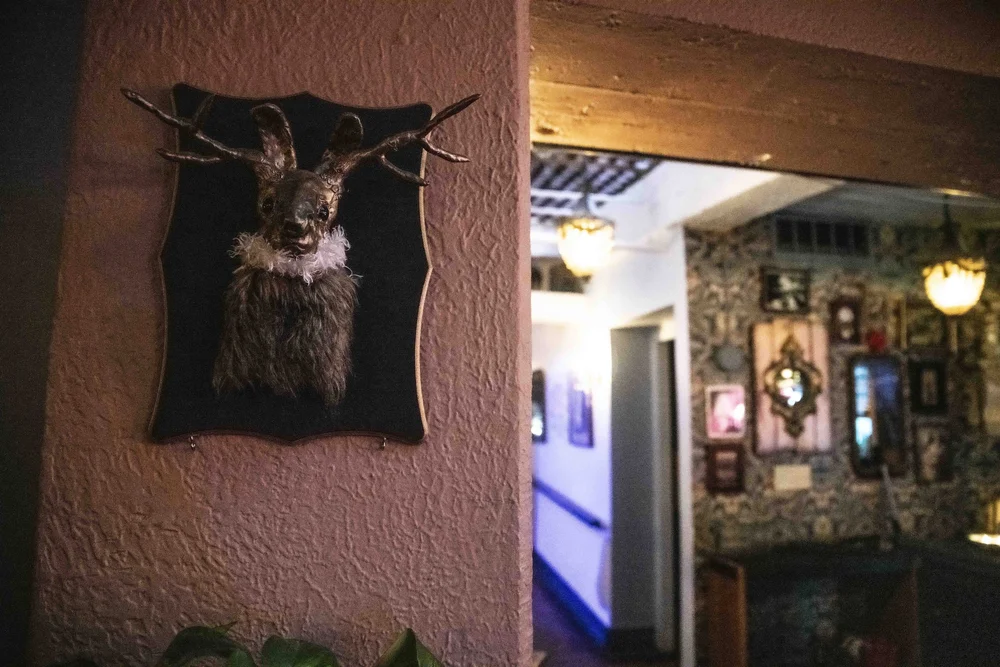Bar photo 2