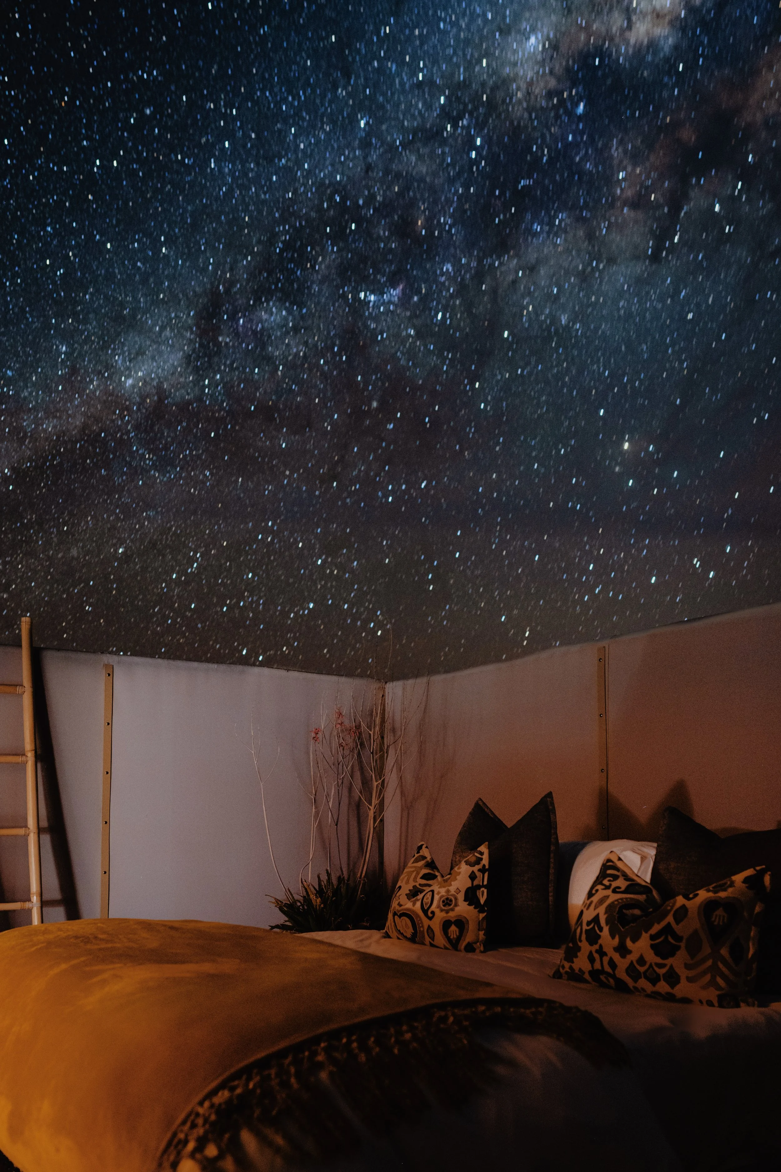 DSC_9214WebRes 2.jpg