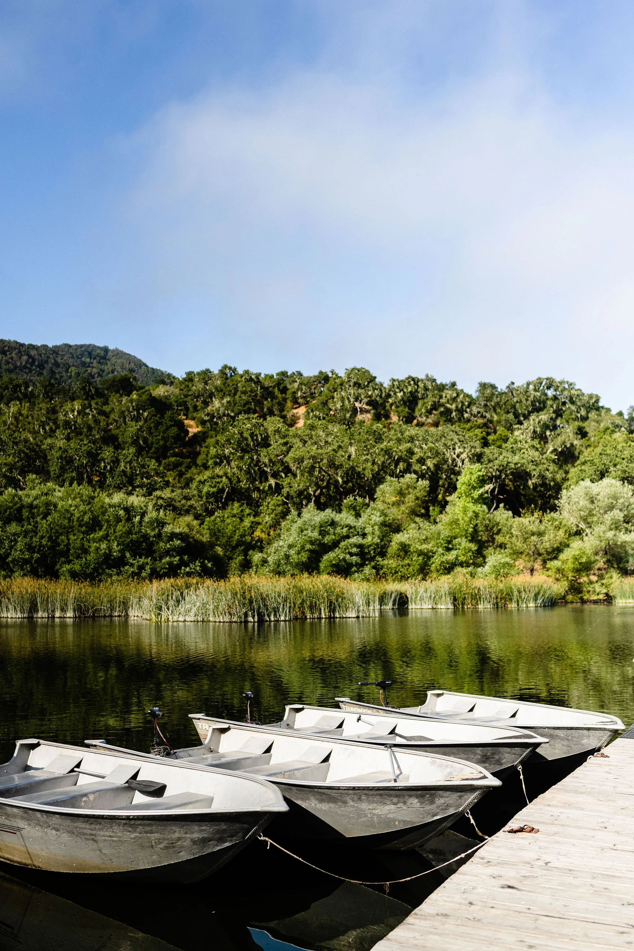 DSC_6808Edit_HiRes (1).JPG