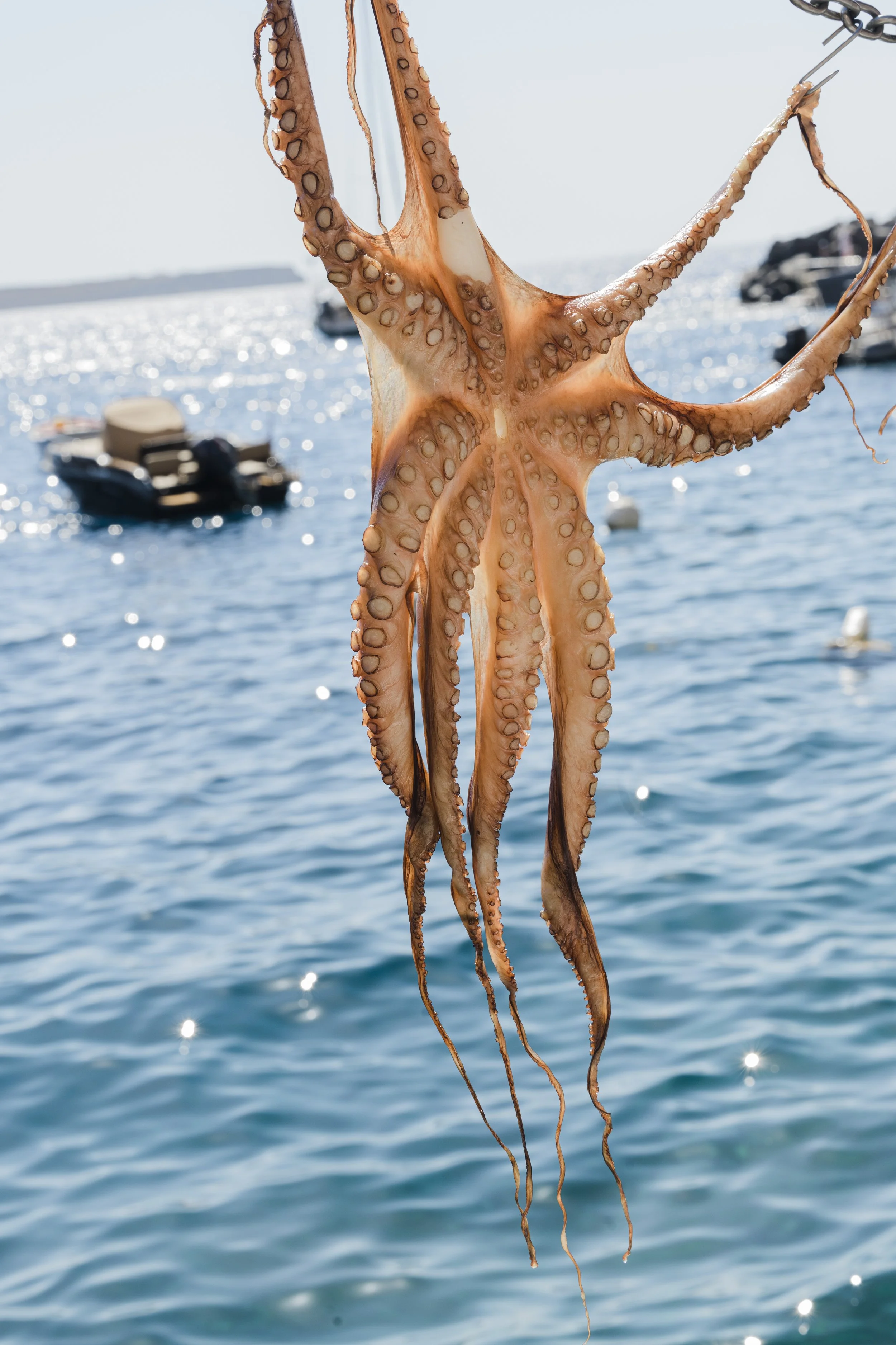 DSC_1527LoRes.jpg
