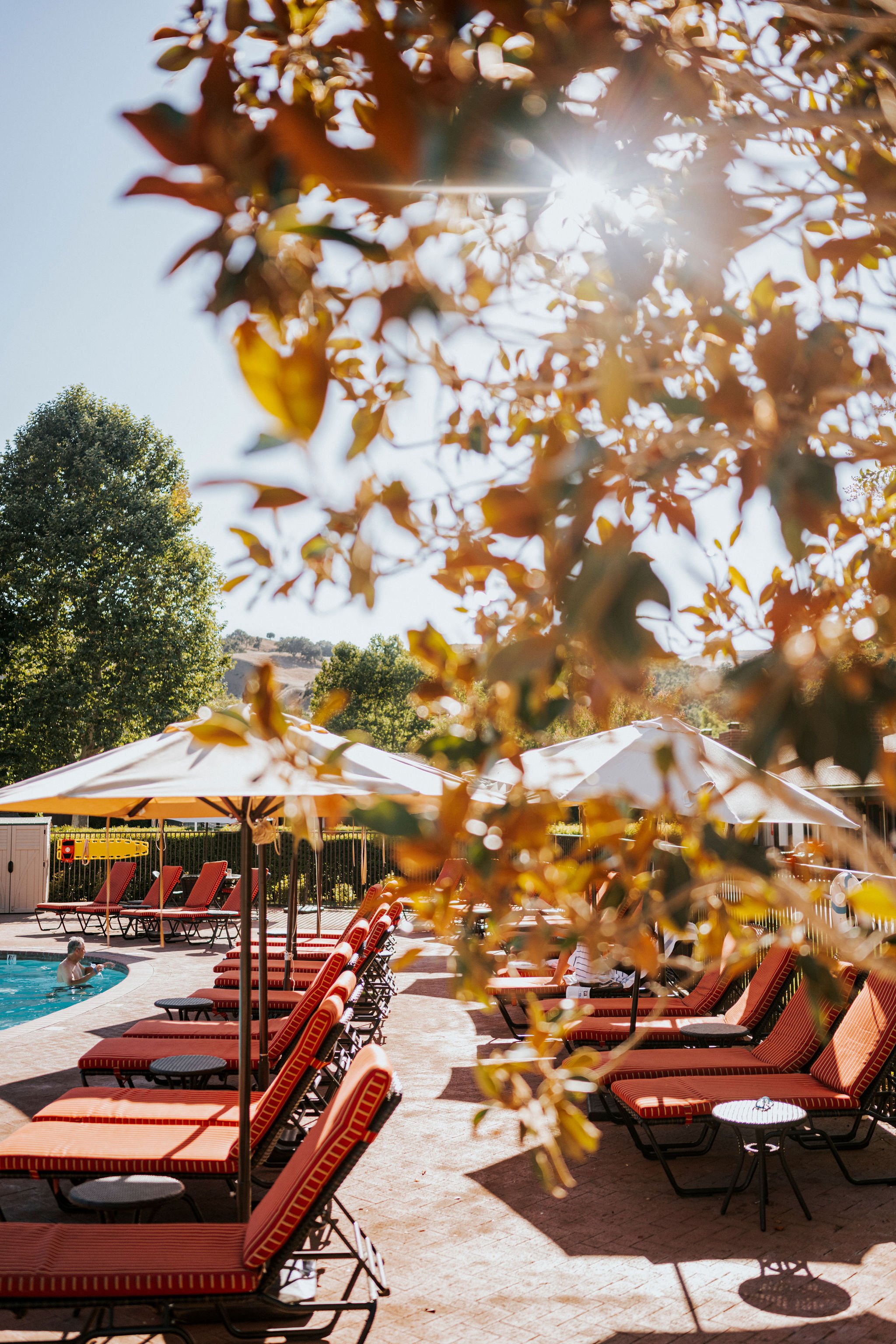 DSC_3770Edit_HiRes (1).jpg