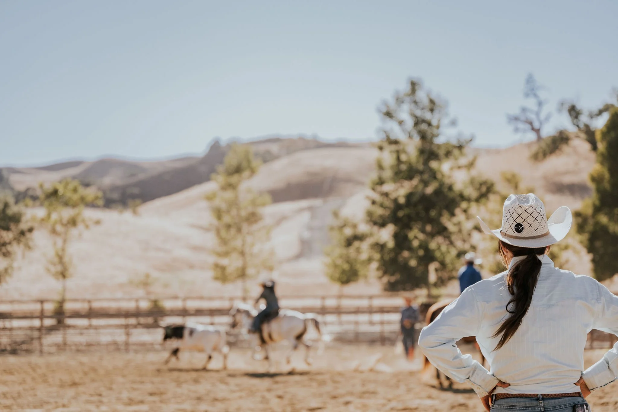 DSC_6056Edit_HiRes (1).JPG