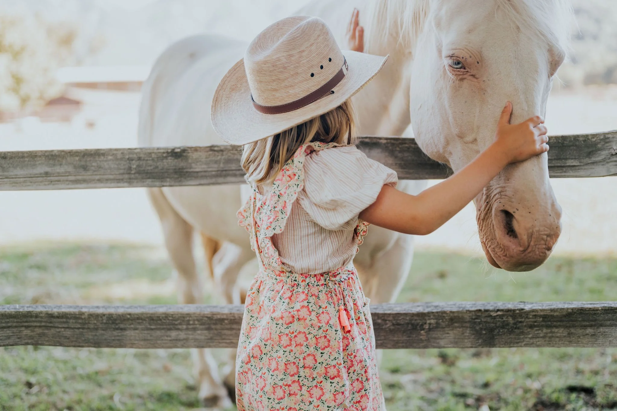 DSC_5598Edit_HiRes (1).JPG