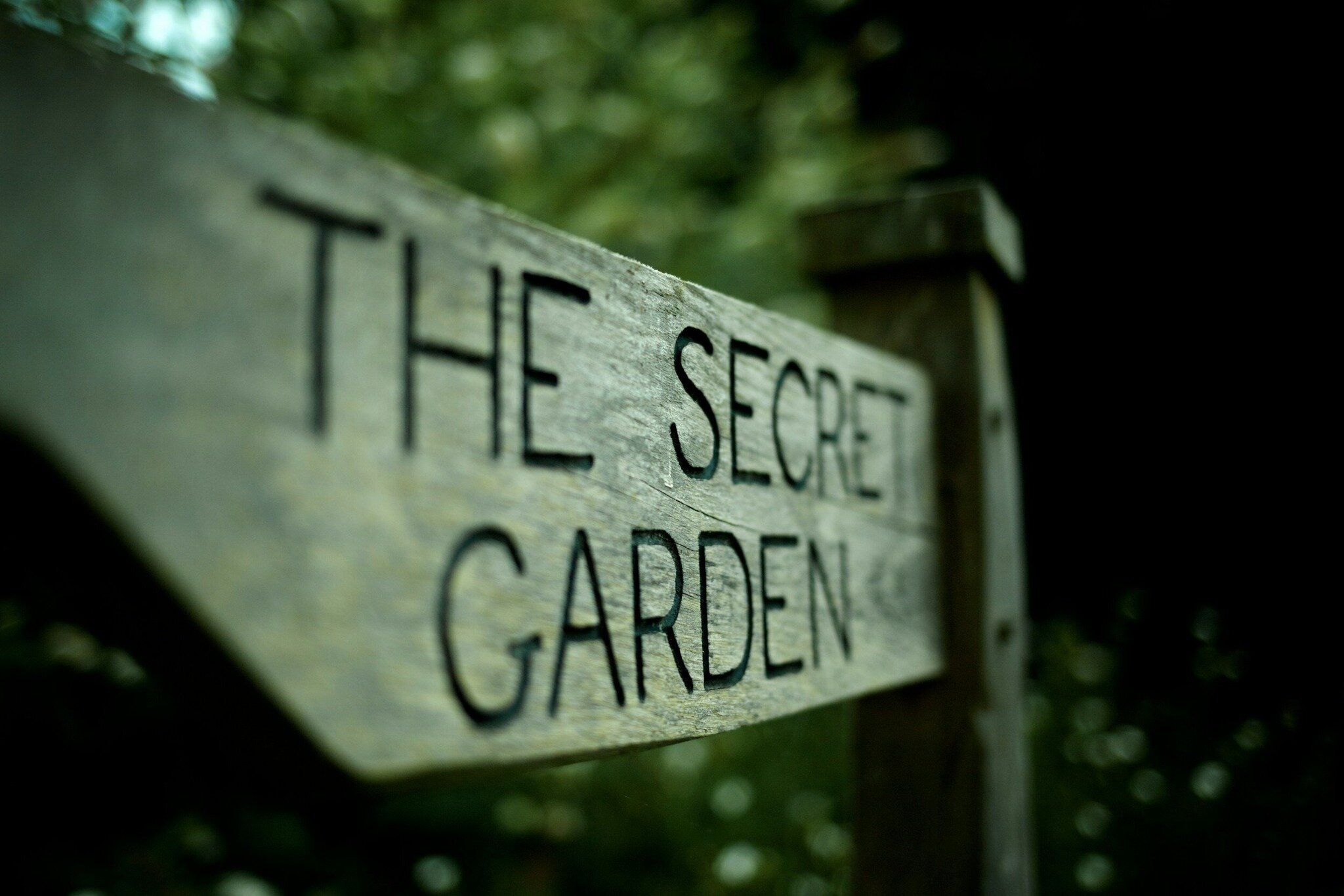 Why aren't you stepping into your very own Secret Garden?
This new story is about a woman who knows things have to change - in moments of reflection she sees herself standing outside The Secret Garden, unable to move as if her feet were glued to the 