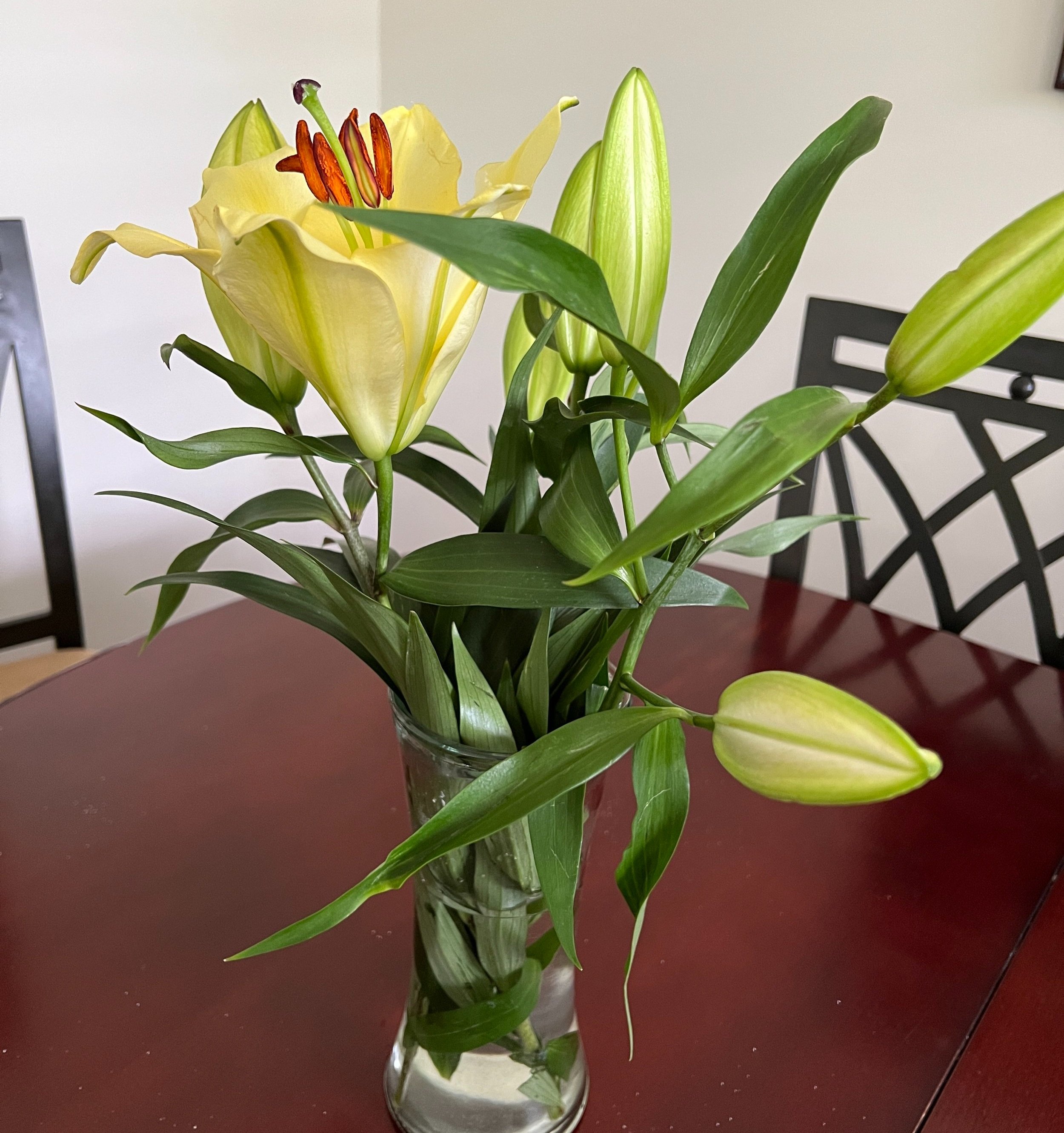 Beyond Forgiveness: Finding Peace Through Understanding and Acceptance
