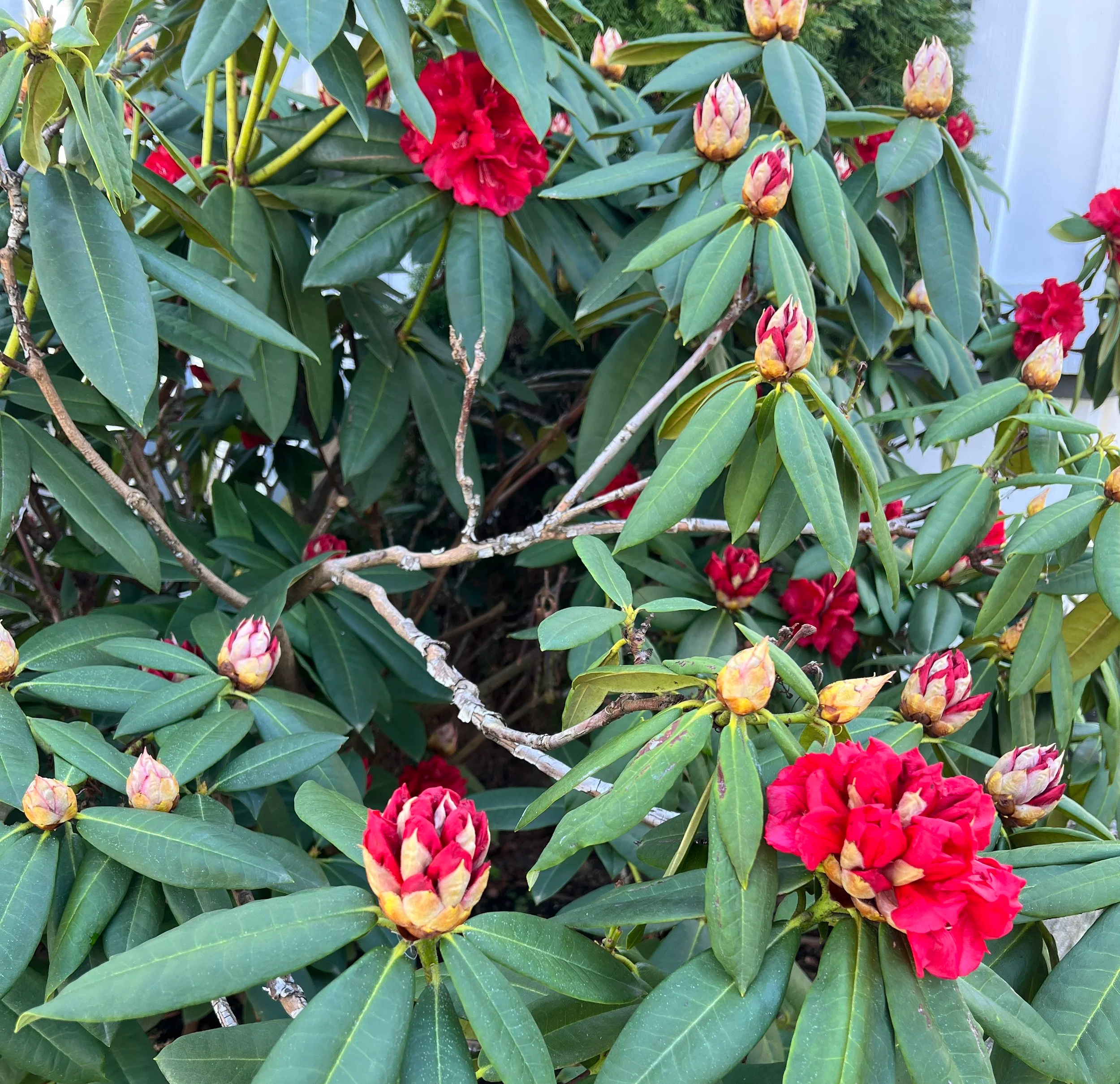 The Many Faces of Loss – What Death has Taught Me About Living