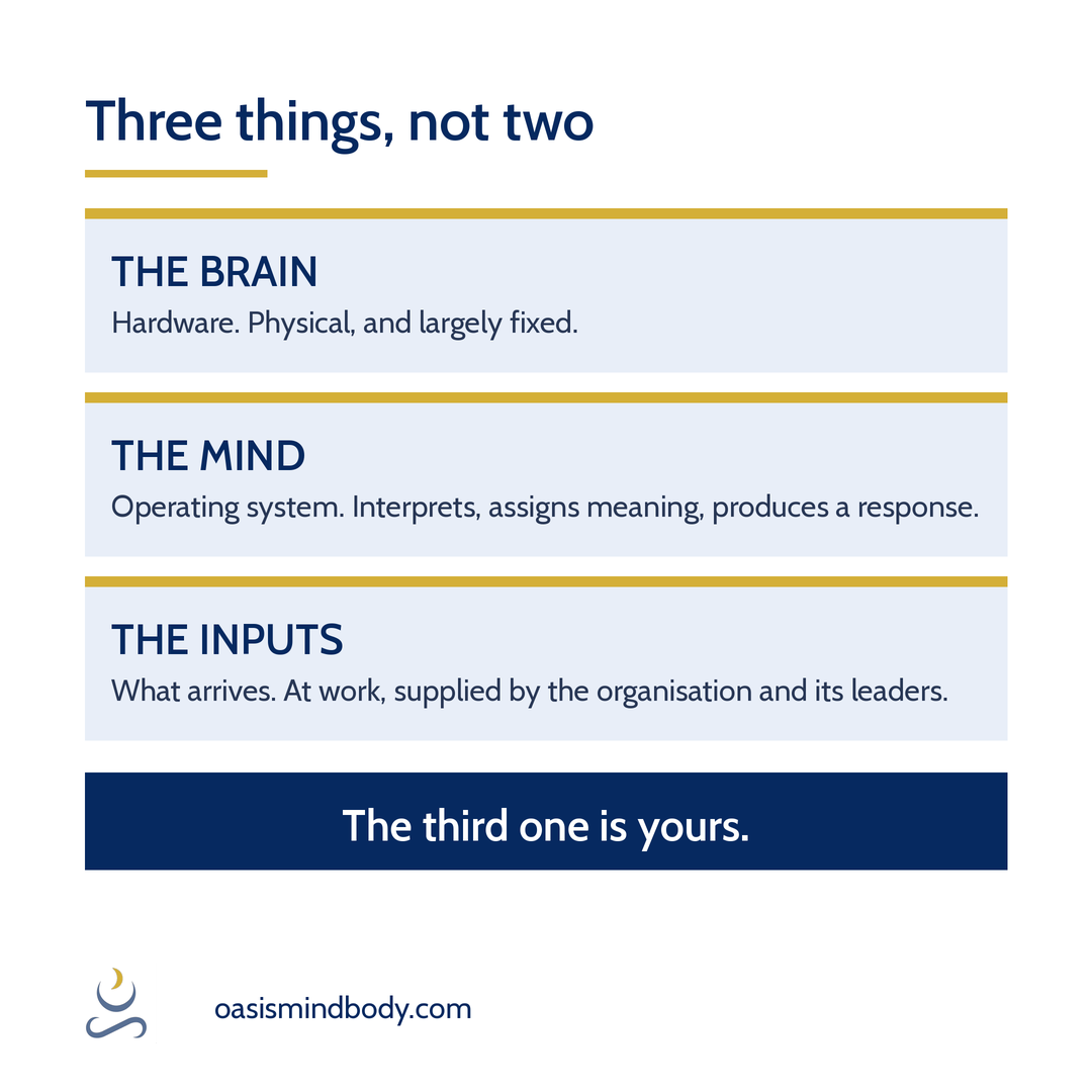 Three panels: the brain as hardware, the mind as operating system, and the inputs, which at work are supplied by the organisation and its leaders. Below, the third one is yours.