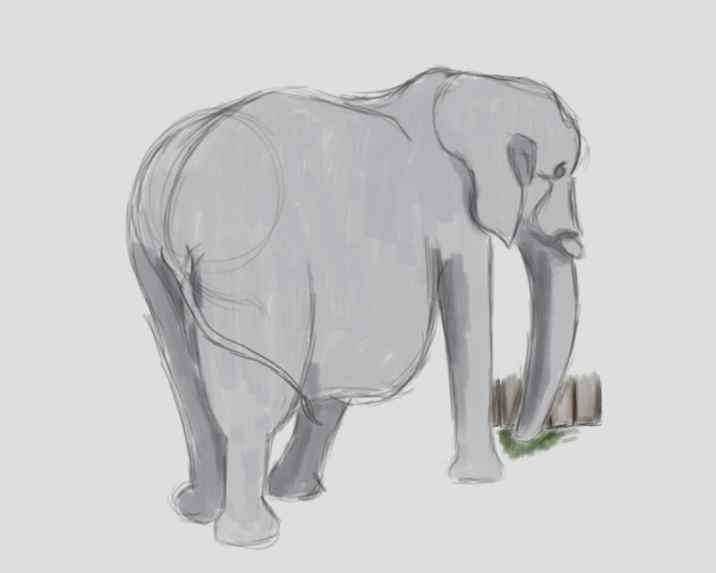 AfricanElephant_Sketch01.png