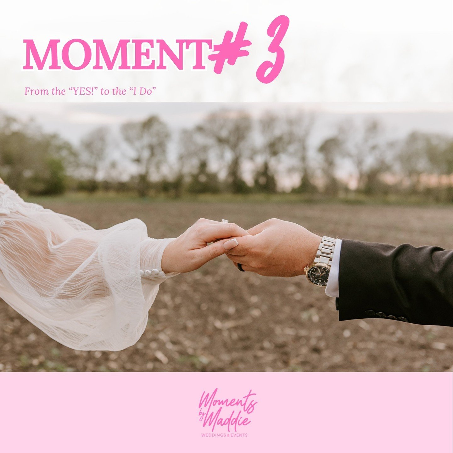 You are going to LOVE this if you are wanting help every step of the way!🥂💐

Moment #3 Includes:
-Creation of wedding website.
-Assist in finding, negotiating, and booking all vendors
(Including: officiant, catering, photography, bakery, florist, h