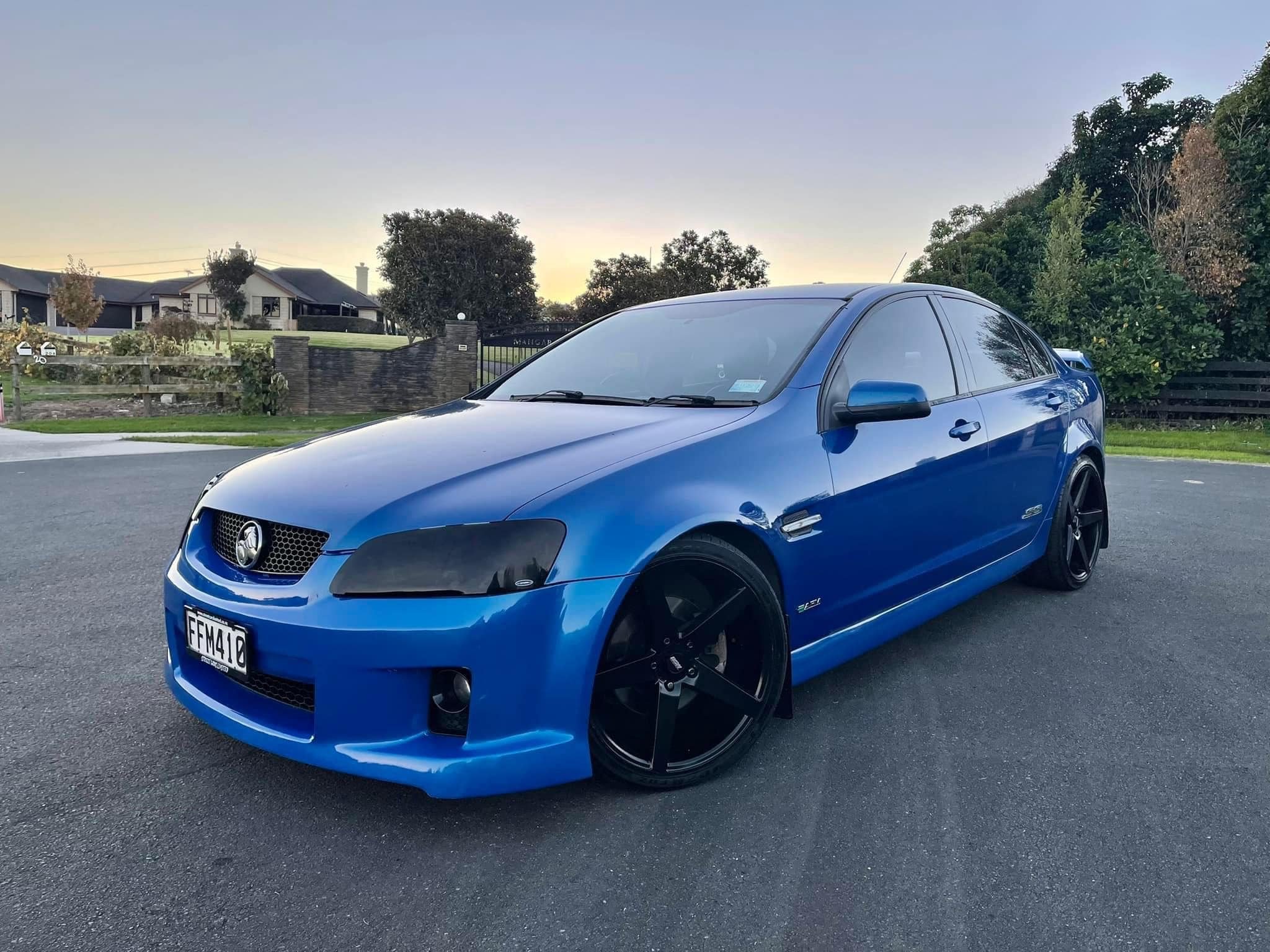 Blue Holden.jpg