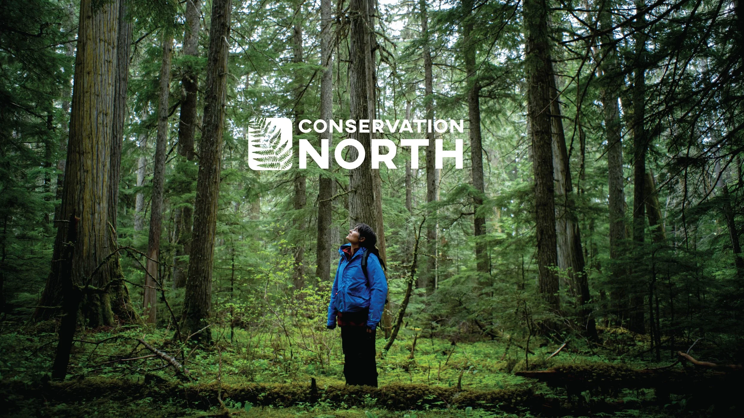 A woman in a blue jacket standing in a dense green forest, looking upward, with the words "Conservation North" overlaid.