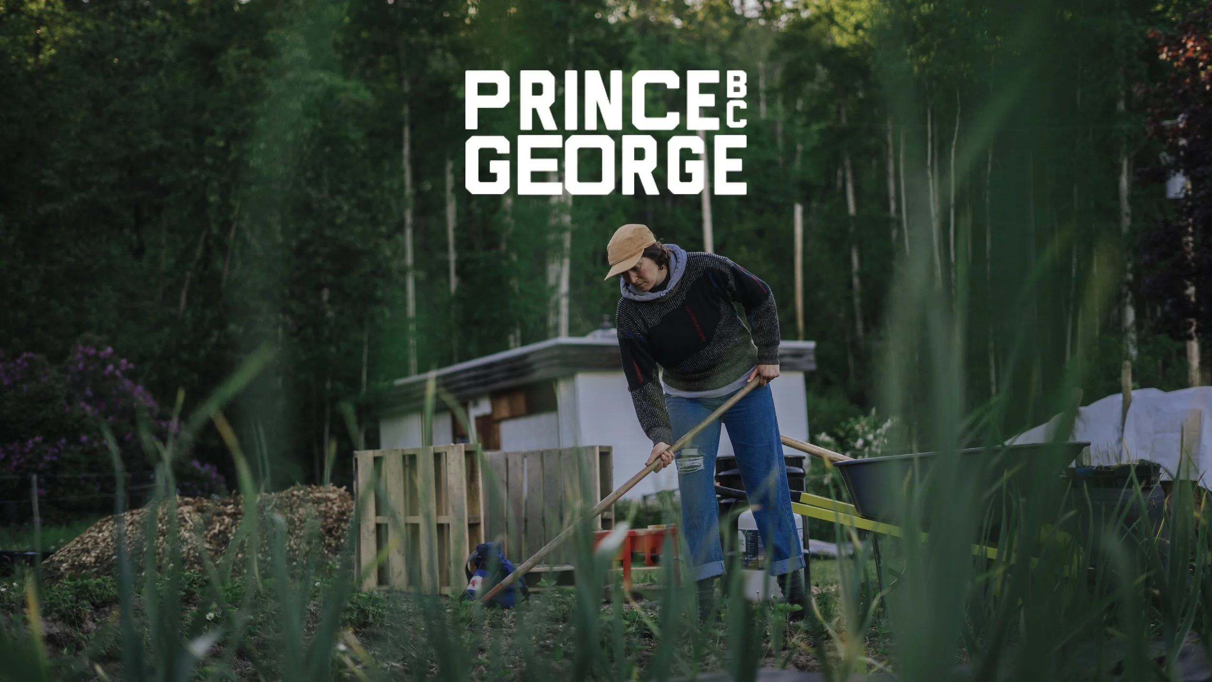 A person working in a garden, leaning over to tend to plants, with a wheelbarrow and a small shed in the background, surrounded by greenery.