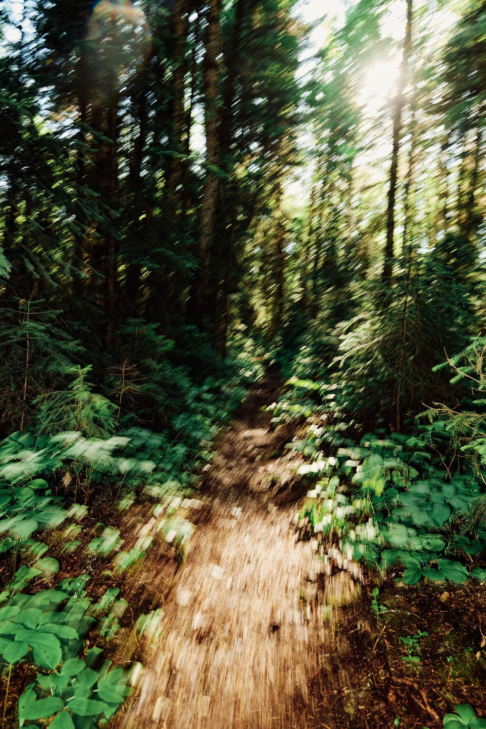 _DSC8376.jpg