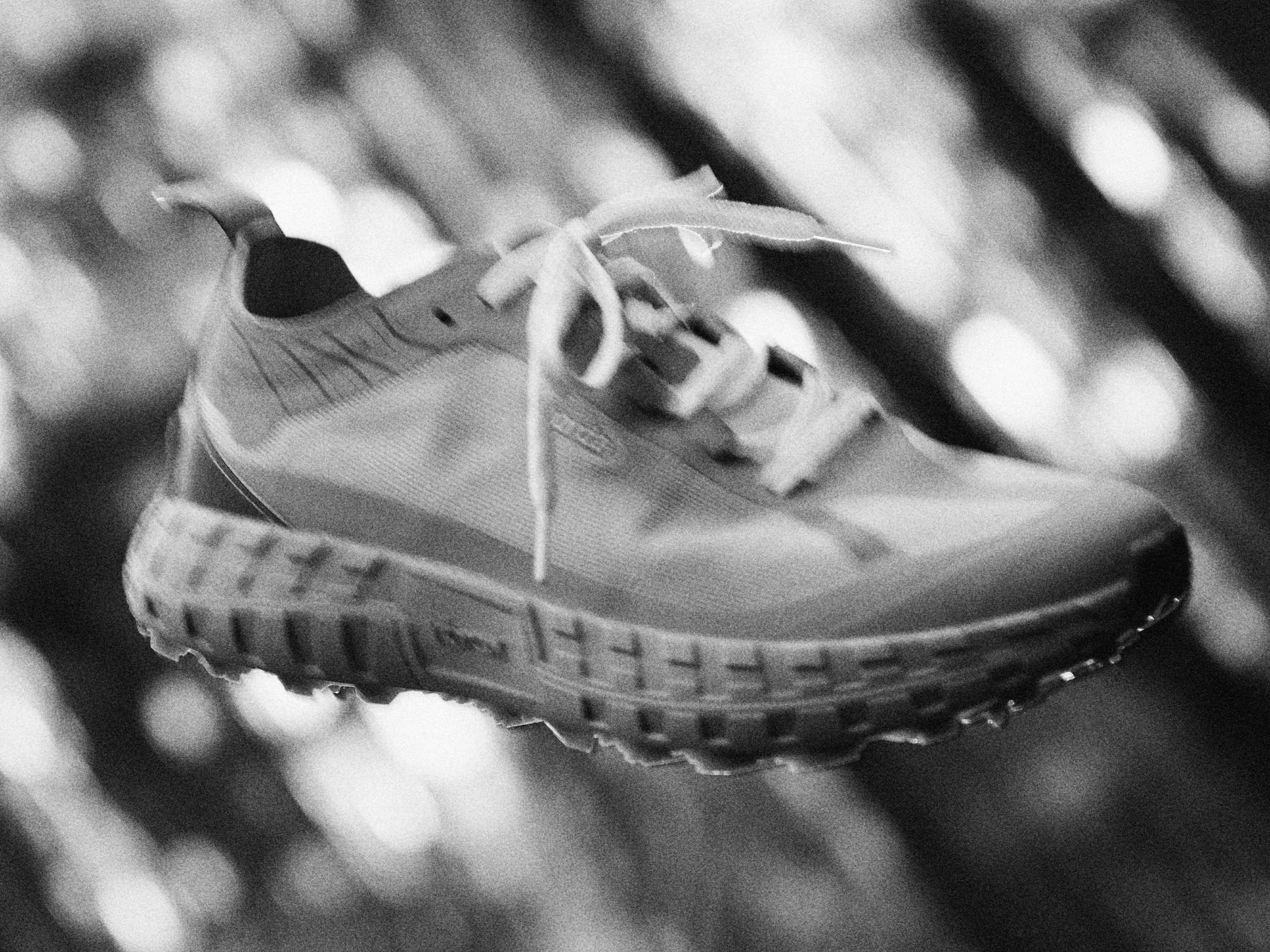 _DSC81923.jpg