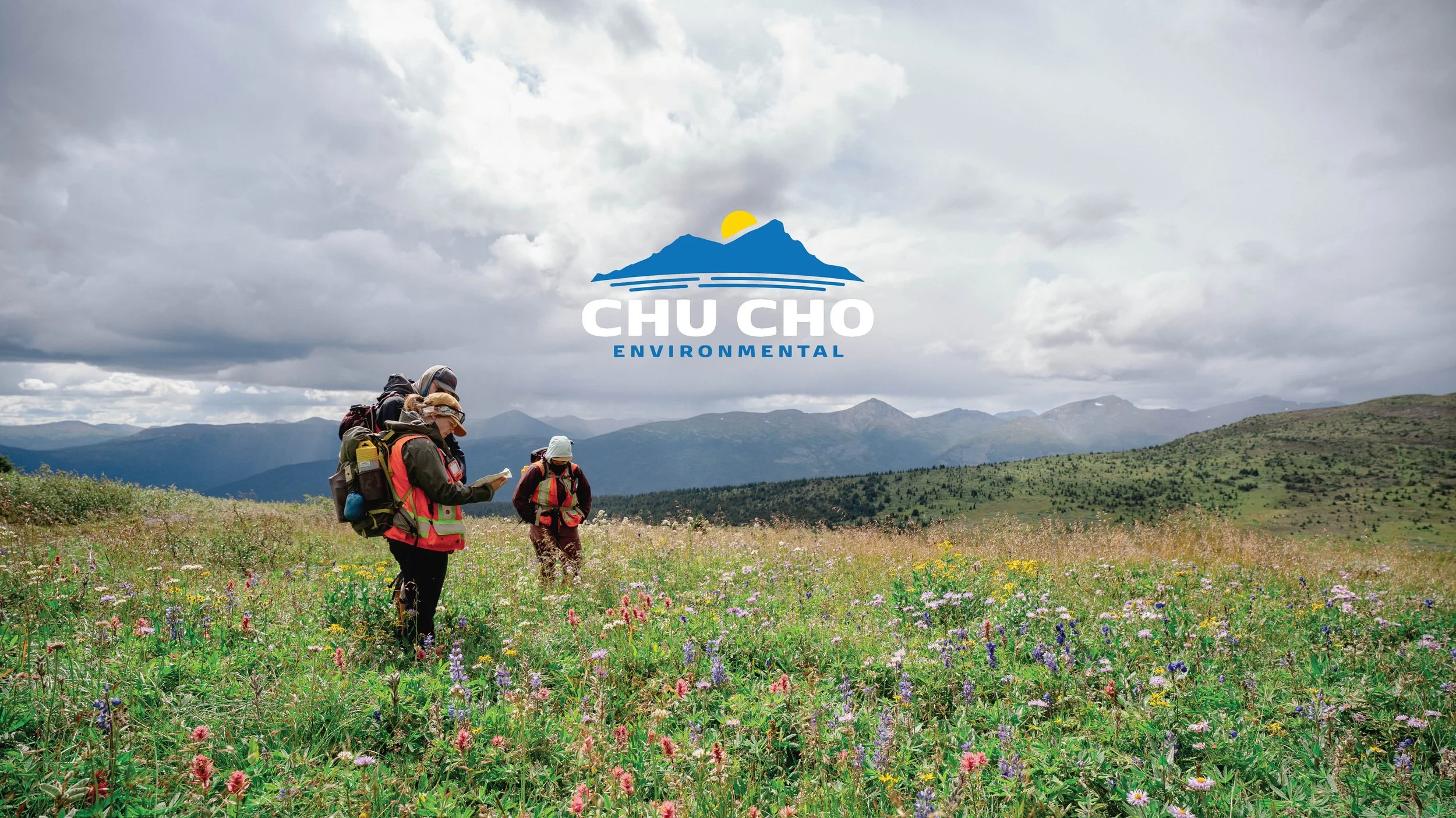 Biologists walking through a wildflower meadow with mountains in the background and a cloudy sky overhead. The logo 'CHU CHO ENVIRONMENTAL' is centered at the top.