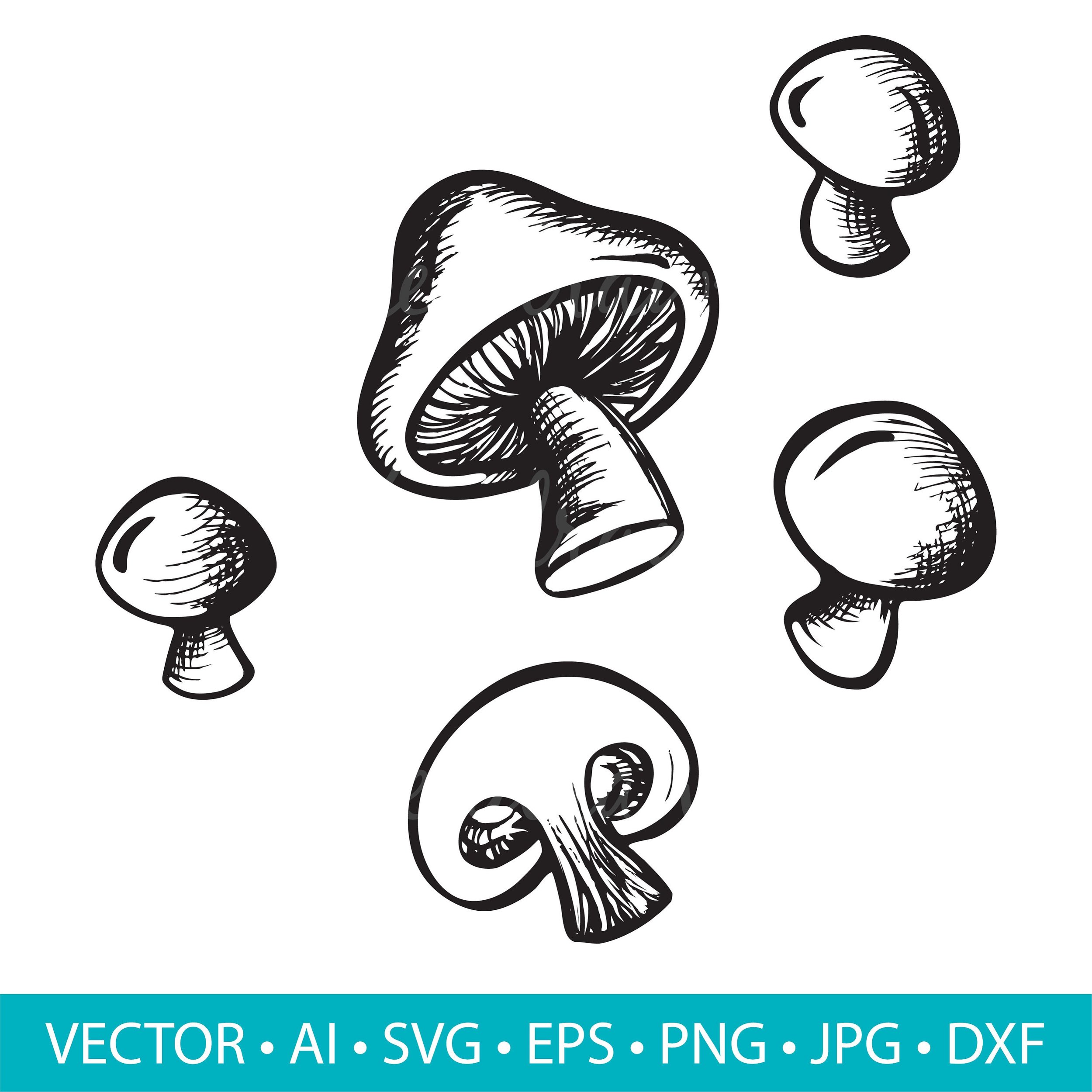https://i.etsystatic.com/10763238/r/il/edcb68/3982827902/il_fullxfull.3982827902_1sv0.jpg