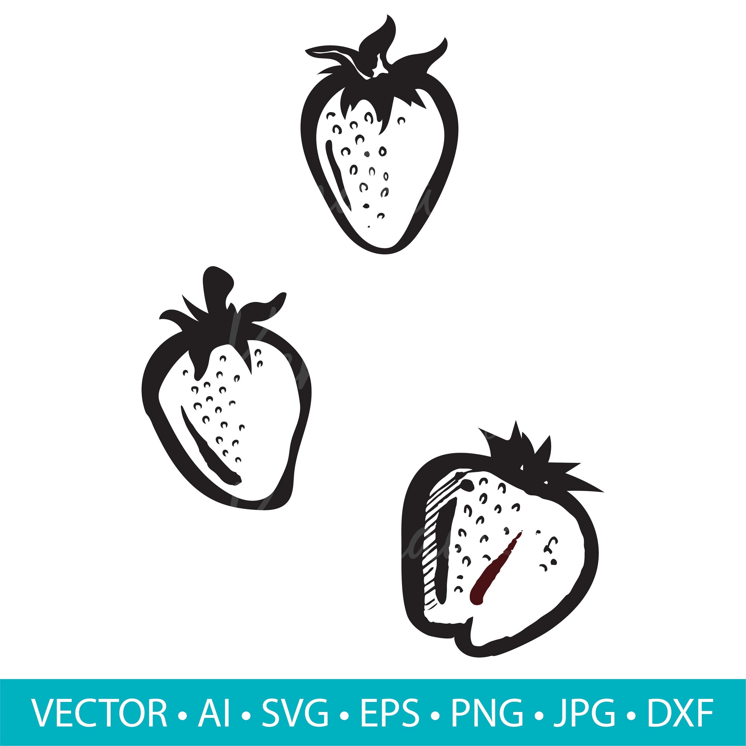 https://i.etsystatic.com/10763238/r/il/fbf2c5/4016647409/il_fullxfull.4016647409_lxaw.jpg