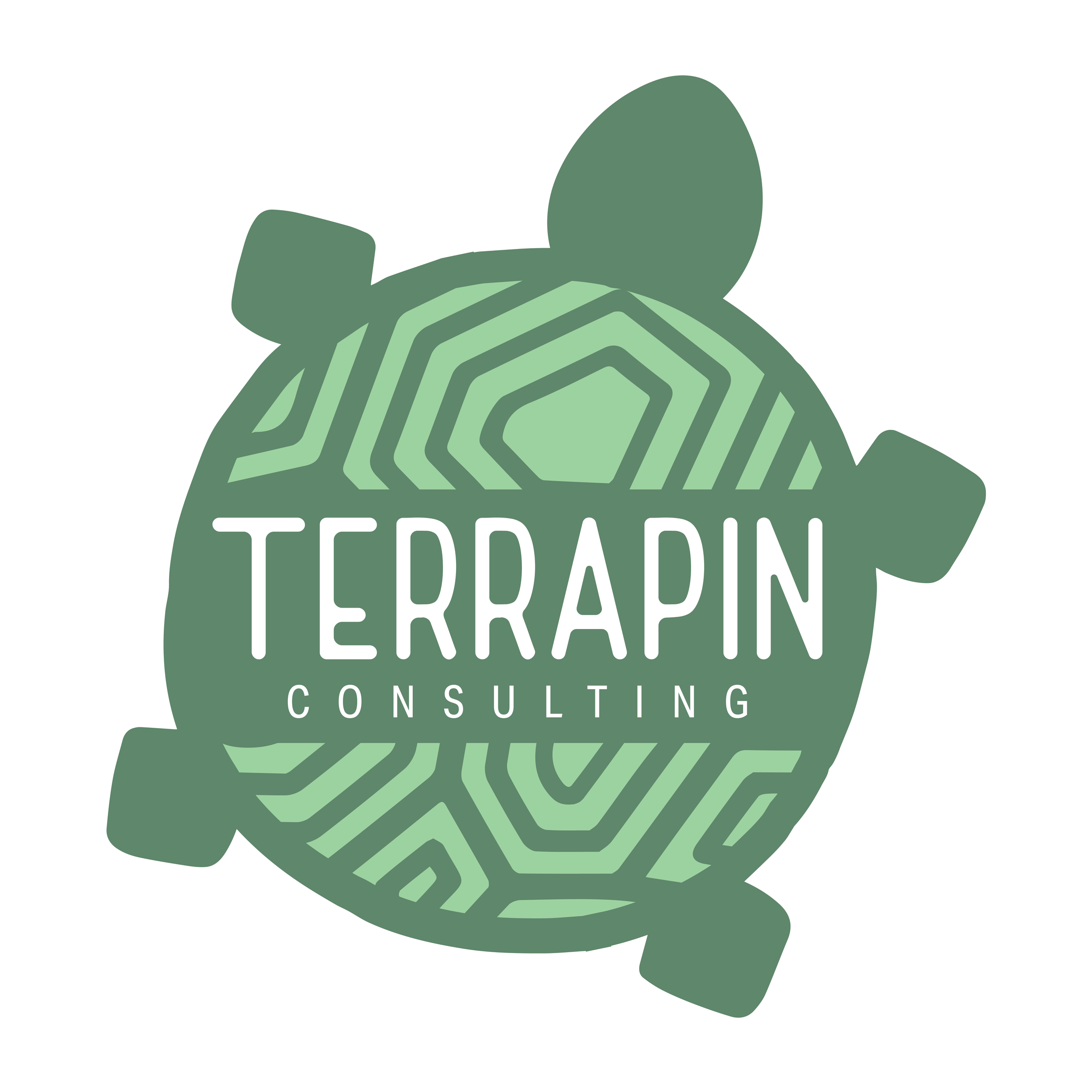 TERRAPIN CONSULTING