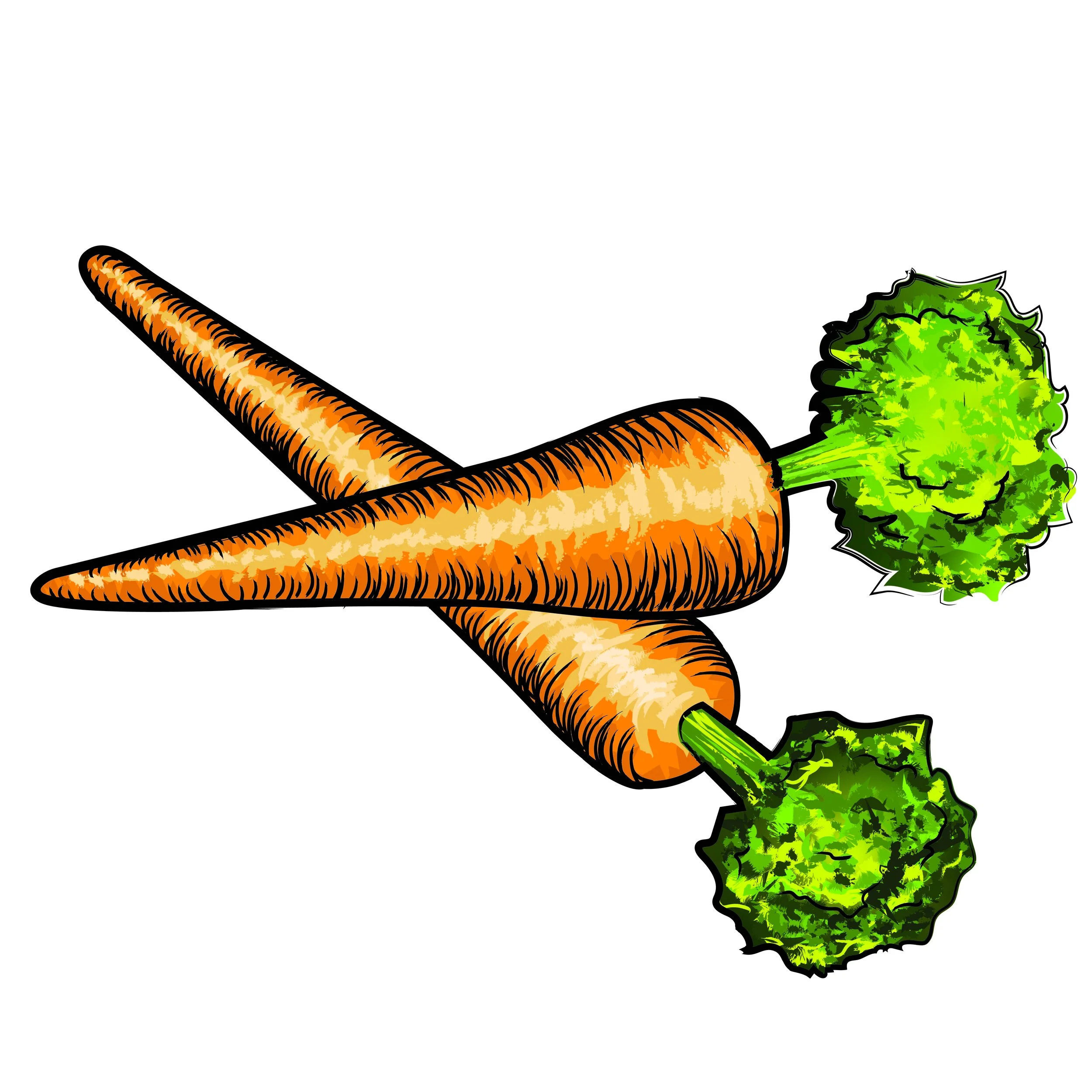 Kendrawz_Vector_CARROTS.jpg
