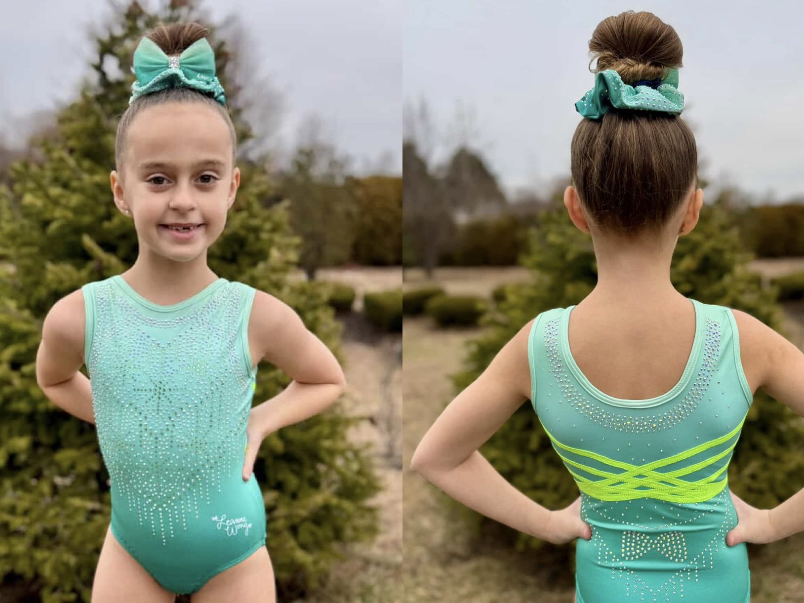 Festive Fun Bundle (leo, blinged out scrunchie, & bow)