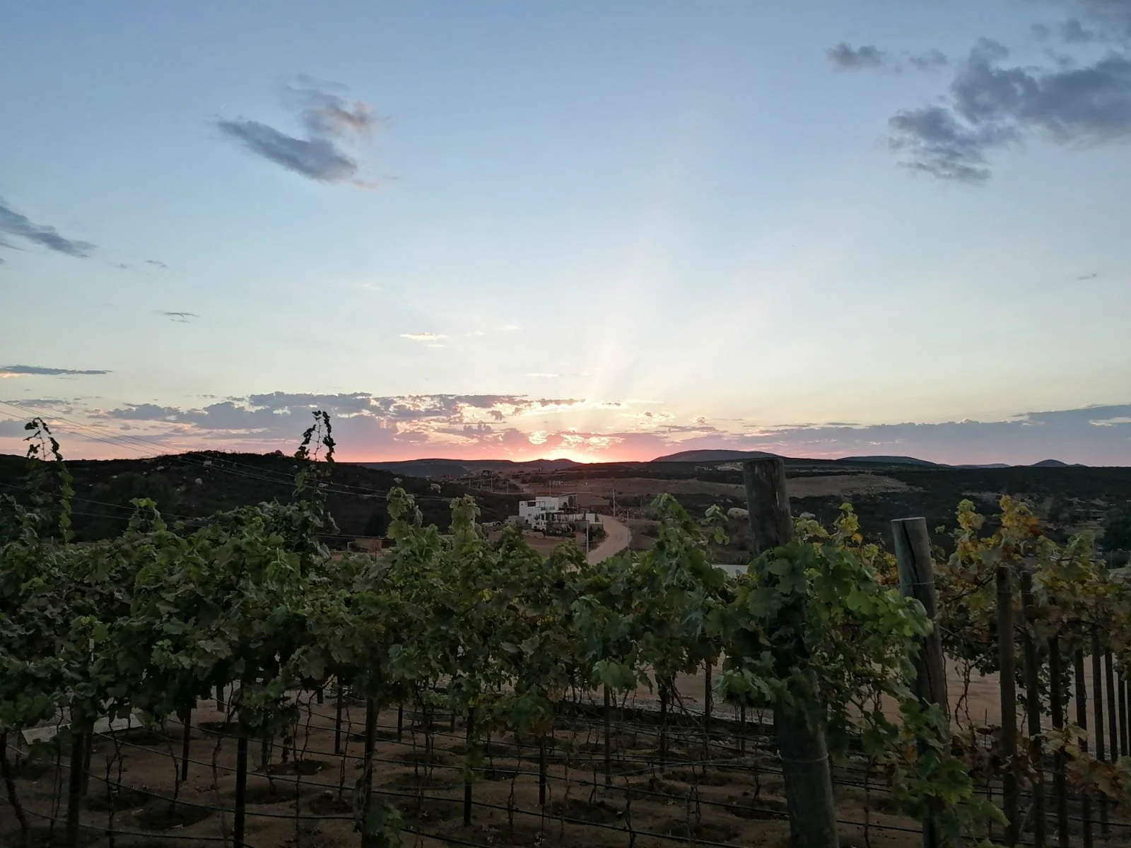 d3ba68d0-54d1-4e7e-bf27-908fe4cab905 3.JPG