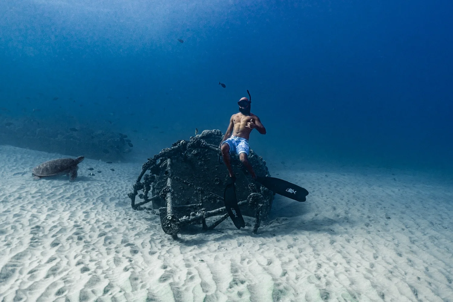 Man with snorkel mask sitting on a sunken wreck surrounded by fish and coral