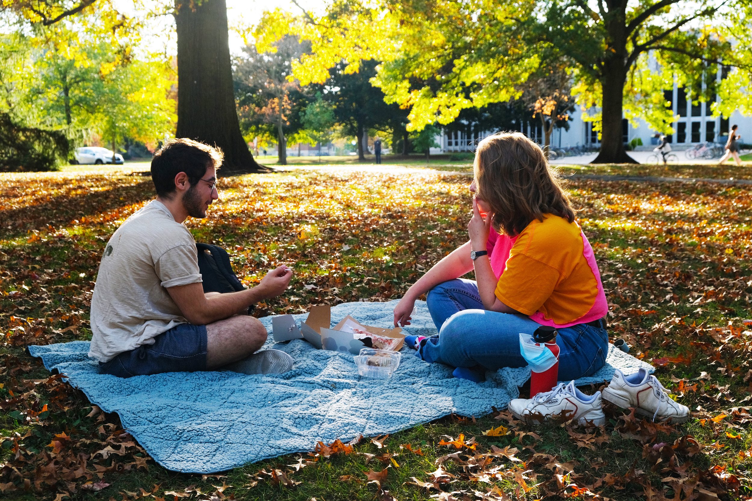 Picnic in the park-JStrauss.jpeg