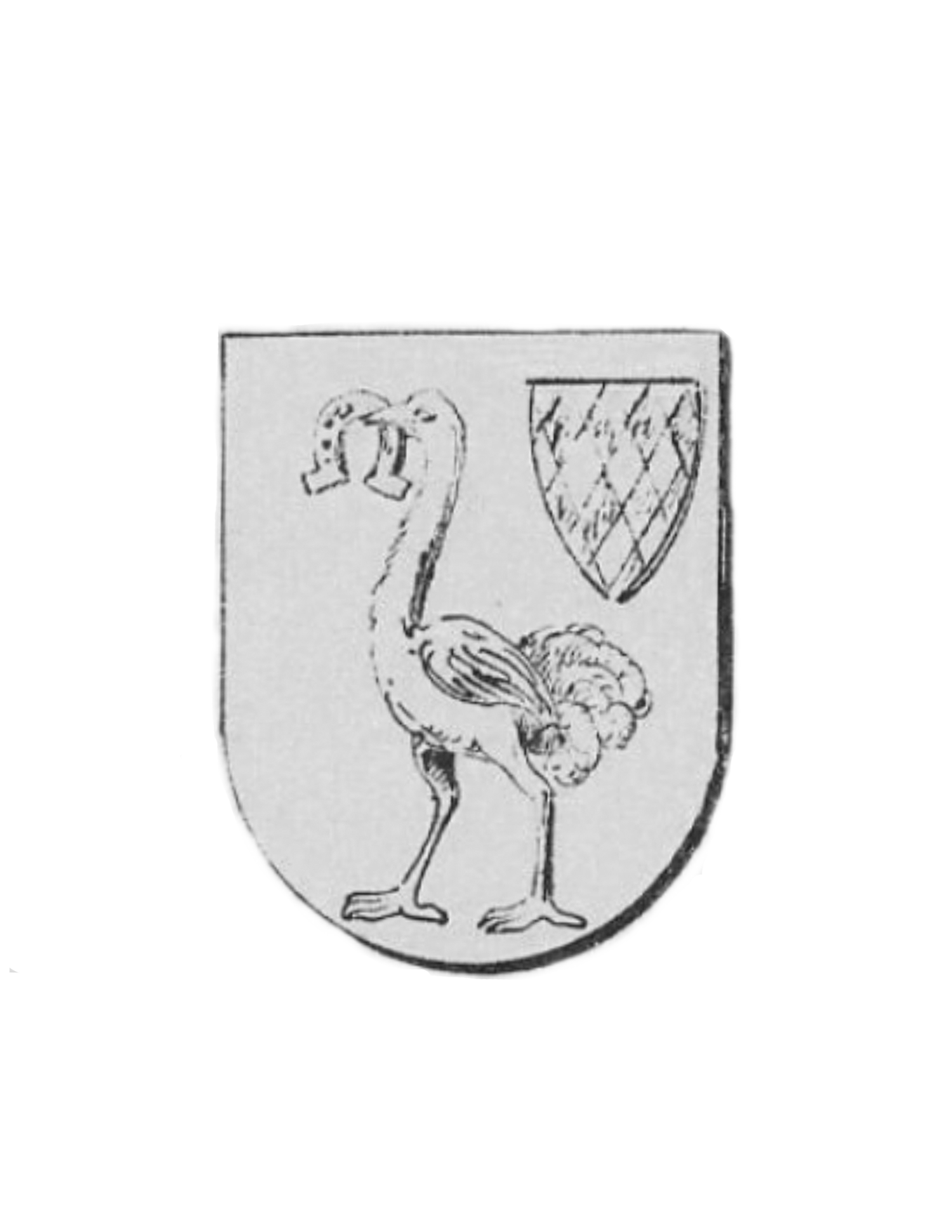 Fox &amp; Ostrich Studio